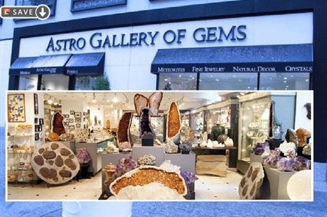 Astro Gallery: Shopping Delight in Natural History Setting