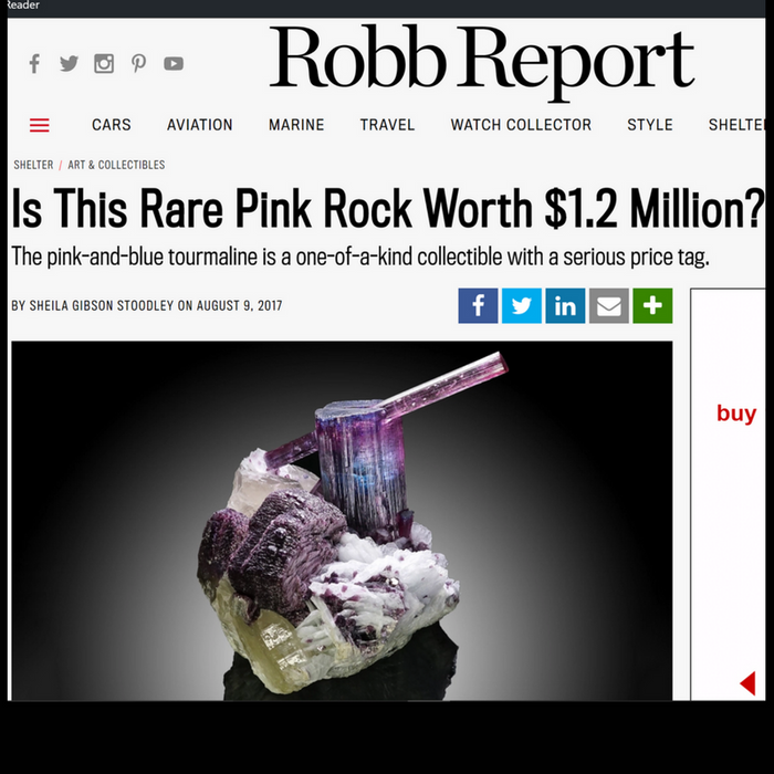 The Great Divide in the Robb Report