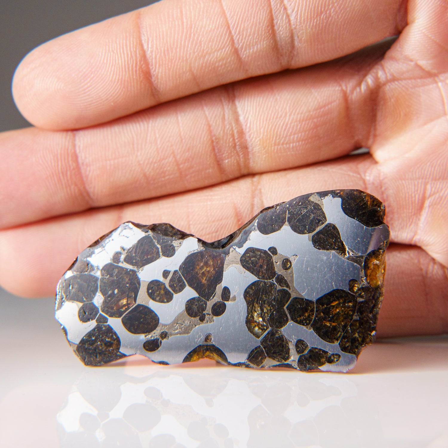 Genuine Brenhama Pallasite Meteorite Slice (23.5 grams)