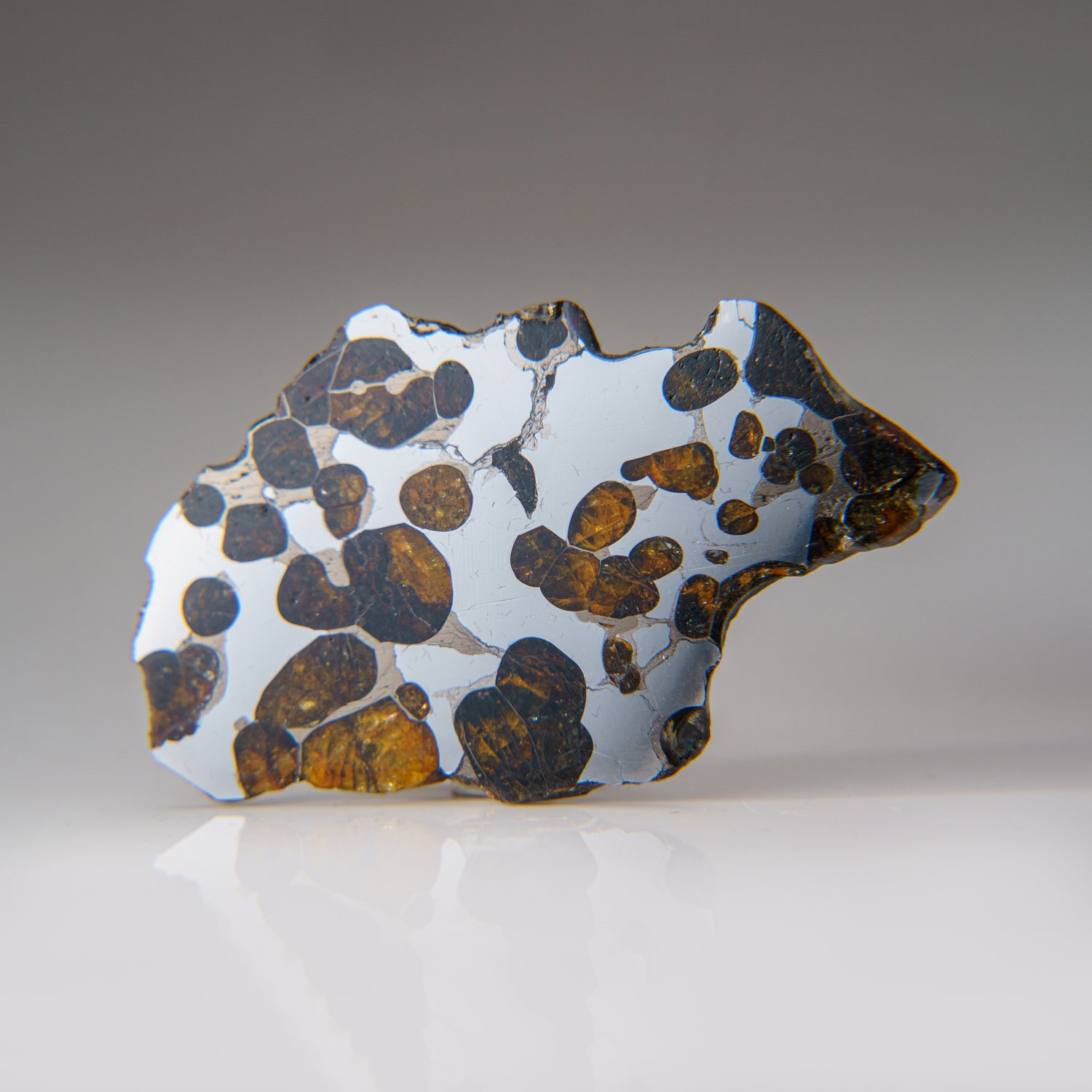 Genuine Brenhama Pallasite Meteorite Slice (25.5 grams)