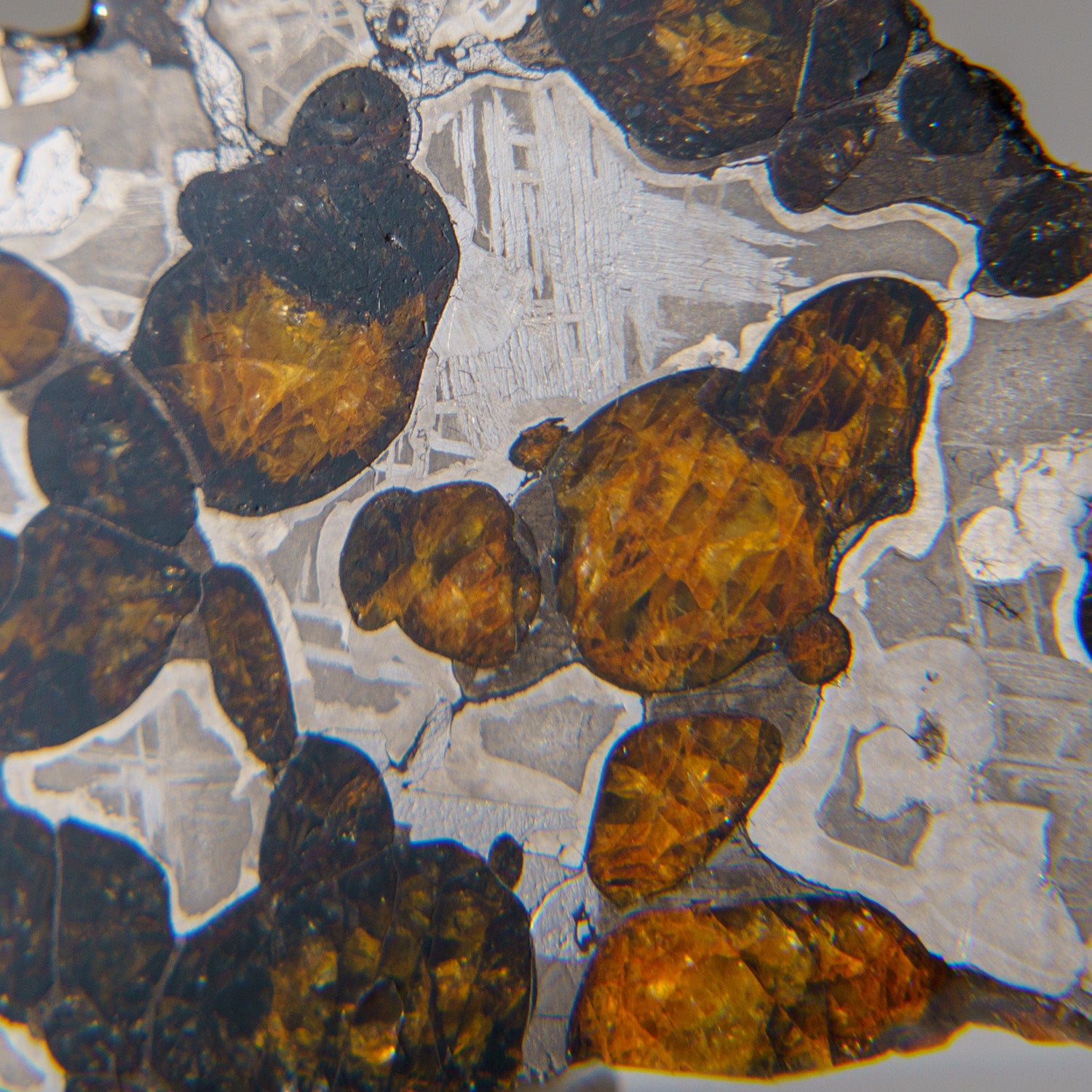 Genuine Brenhama Pallasite Meteorite Slice (25.5 grams)