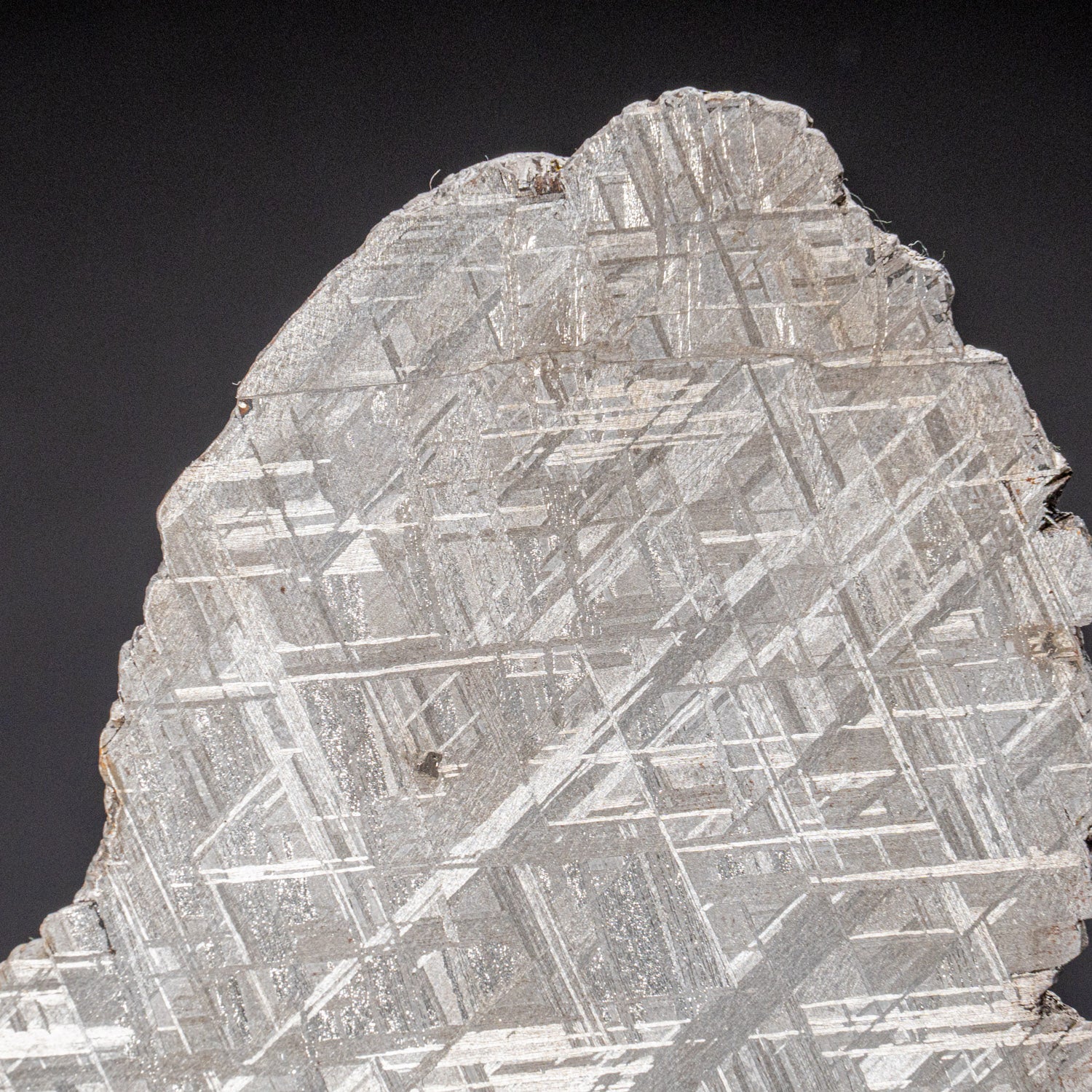 Genuine Large Muonionalusta Meteorite Slice (12 lbs)