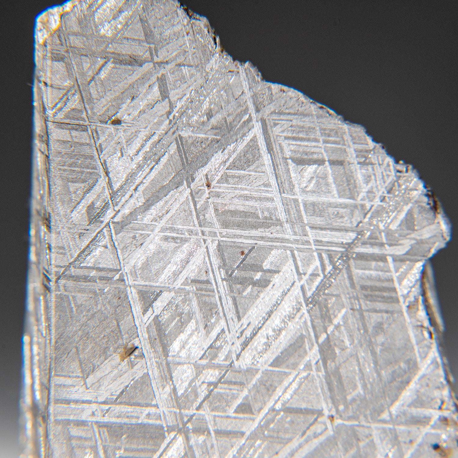 Genuine Muonionalusta Meteorite Slice (1.15 lbs)