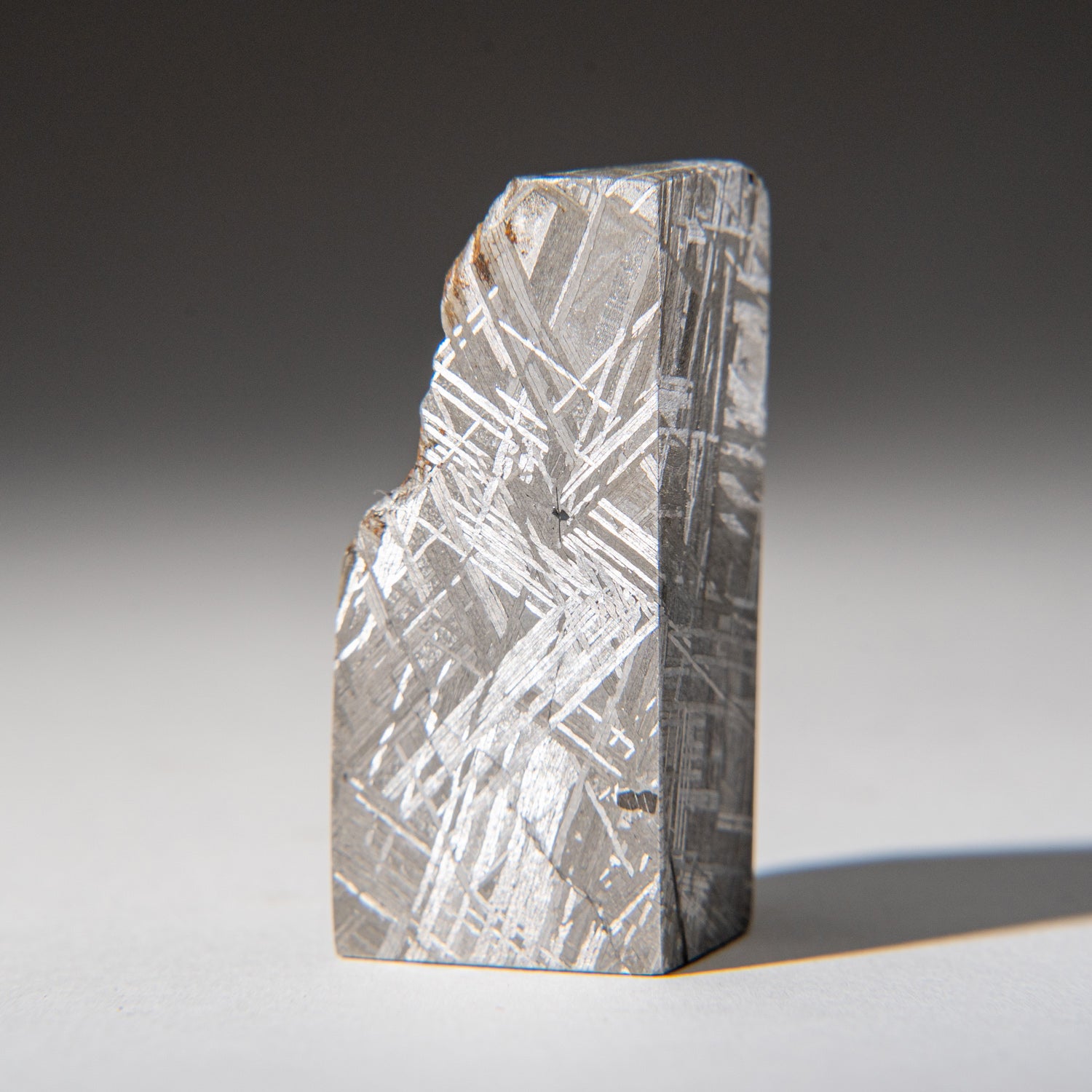 Genuine Muonionalusta Meteorite Slice (142.9 grams)