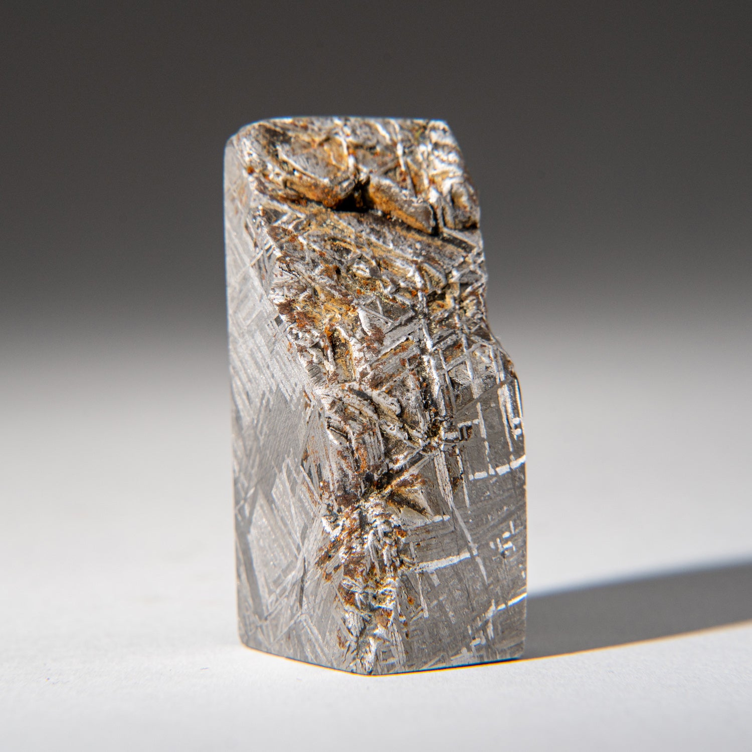Genuine Muonionalusta Meteorite Slice (142.9 grams)