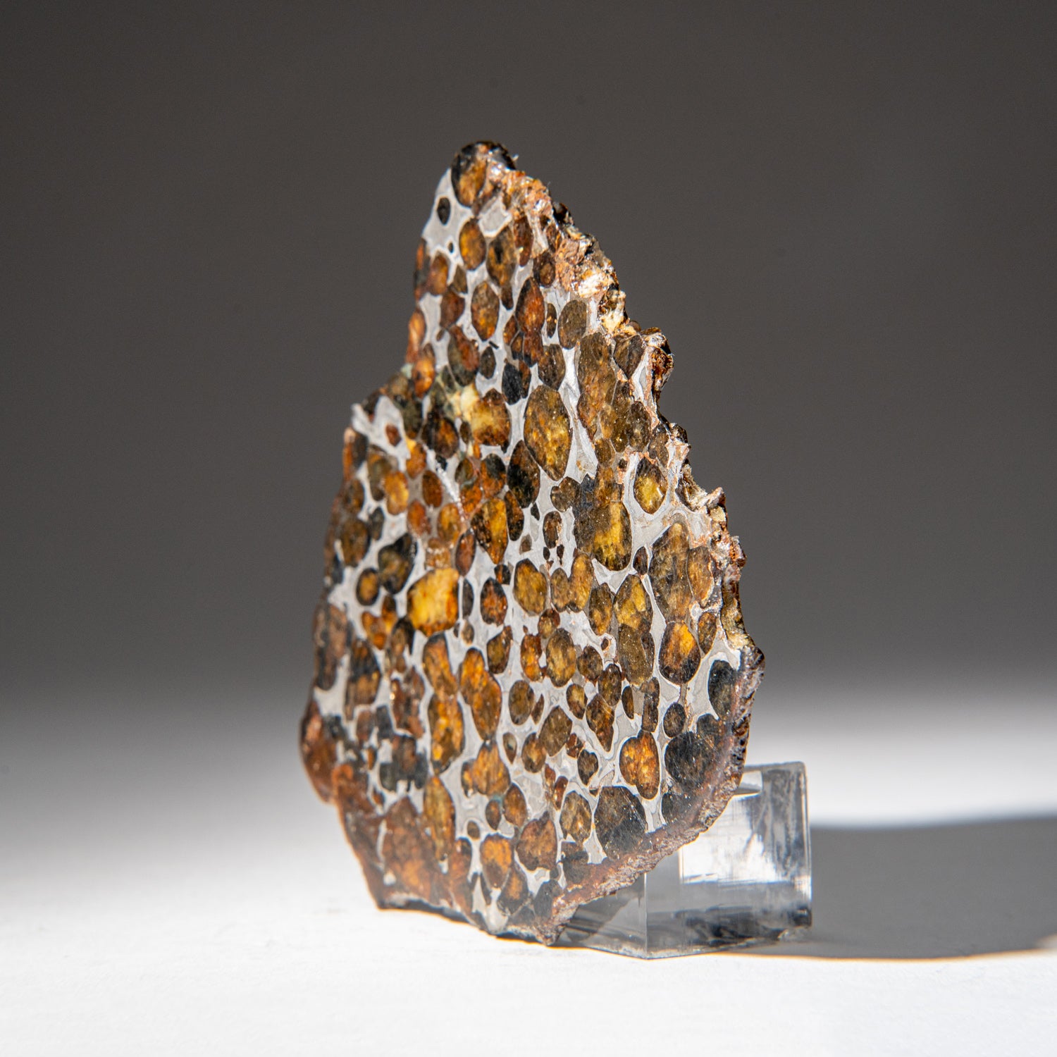 Genuine Sericho Pallasite Meteorite Slab (83.3 grams)
