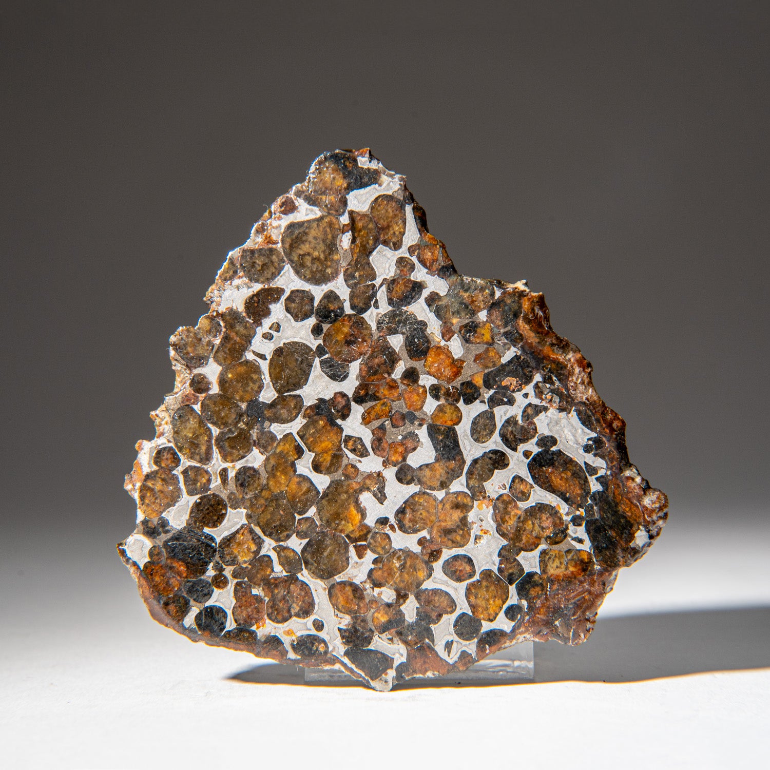 Genuine Sericho Pallasite Meteorite Slab (83.3 grams)