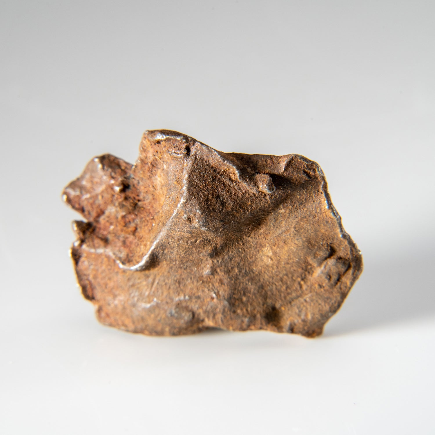 Genuine Gebel Kamil Meteorite from Egypt (24.4 grams)