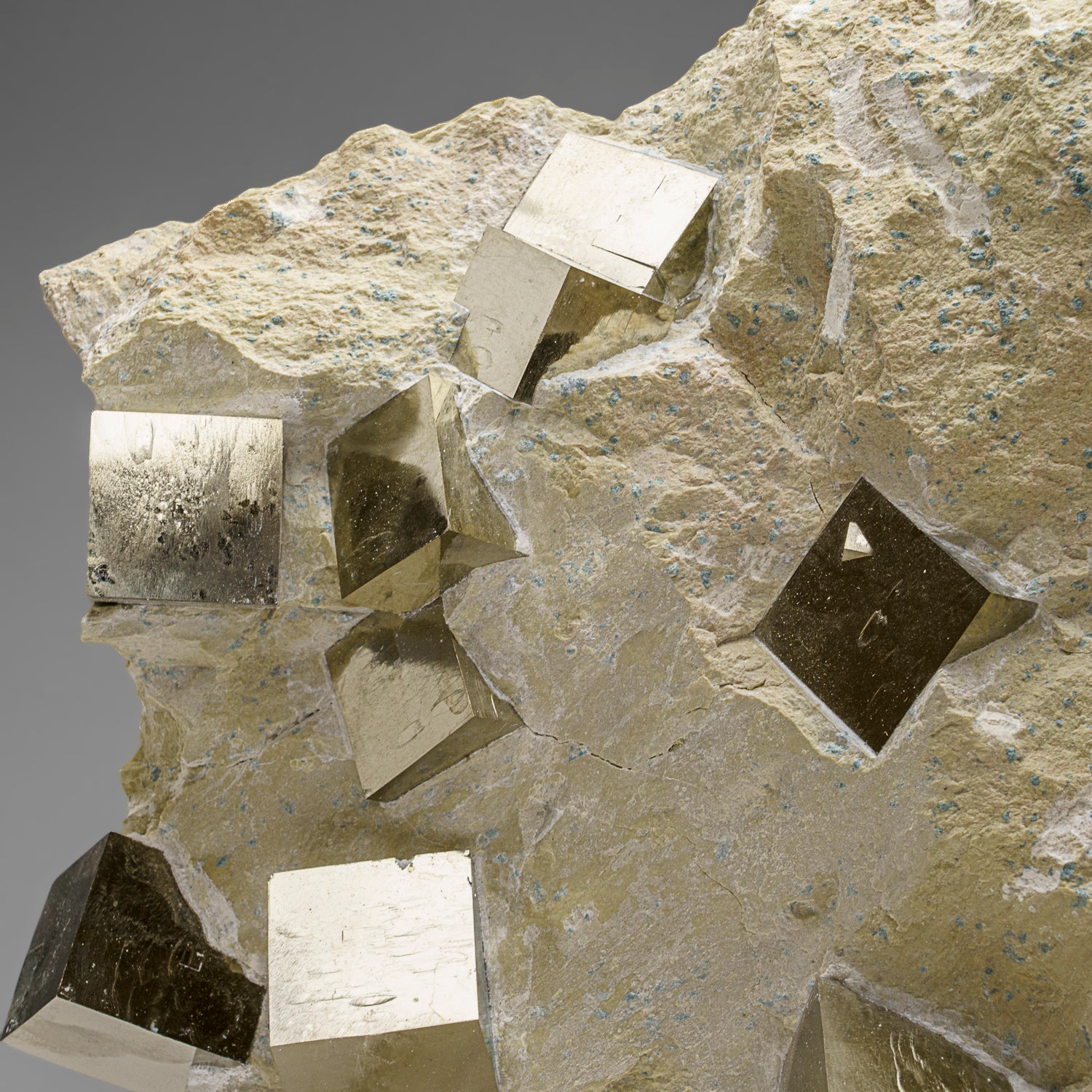 Genuine Pyrite Cubes on Basalt From Navajun, Spain (34.5 lbs)
