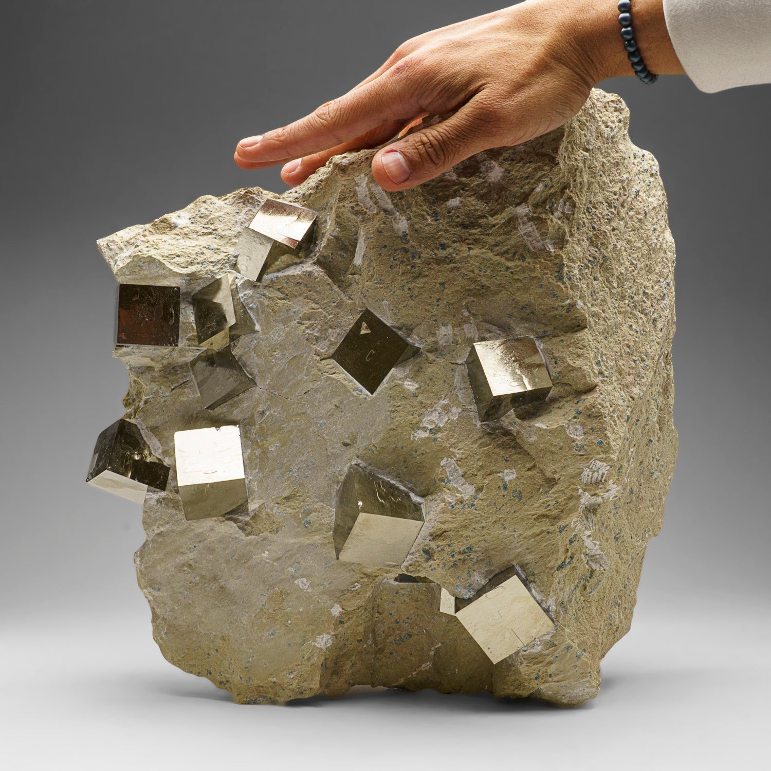 Genuine Pyrite Cubes on Basalt From Navajun, Spain (34.5 lbs)
