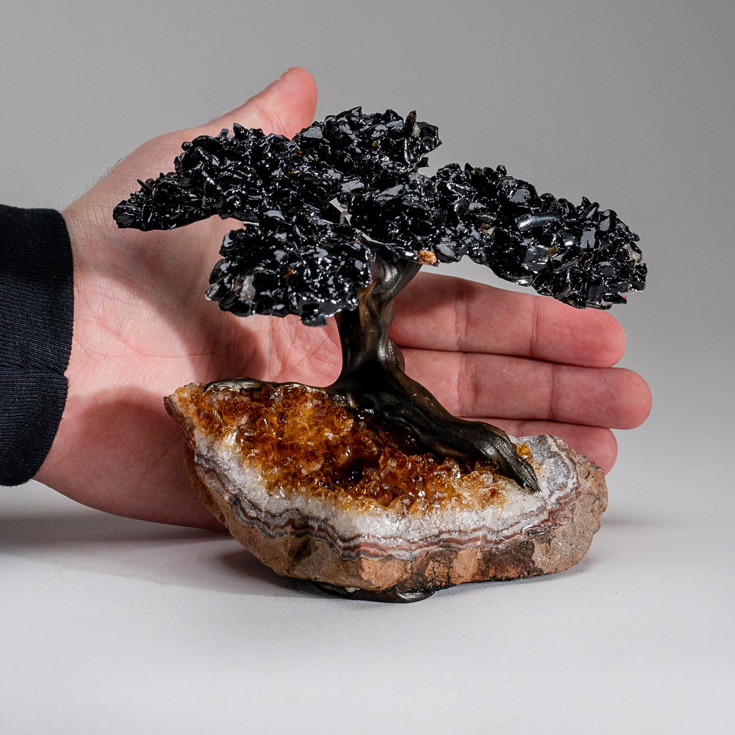 Medium Black Tourmaline Clustered Gemstone Tree on Citrine Matrix