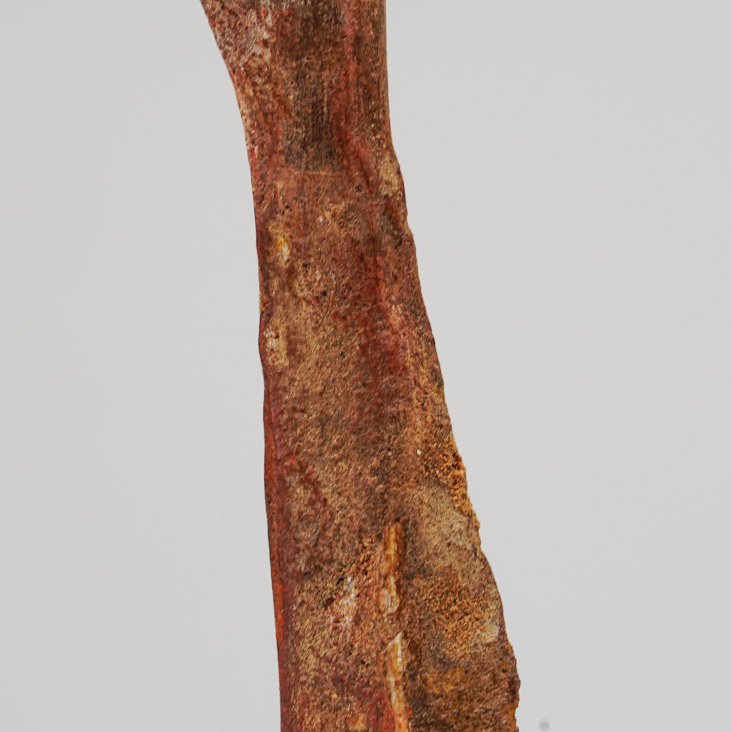 Spinosaurus Maroccanus Bone From Baharija Formation, South of Taouz, Kem-kem Basin, Morocco