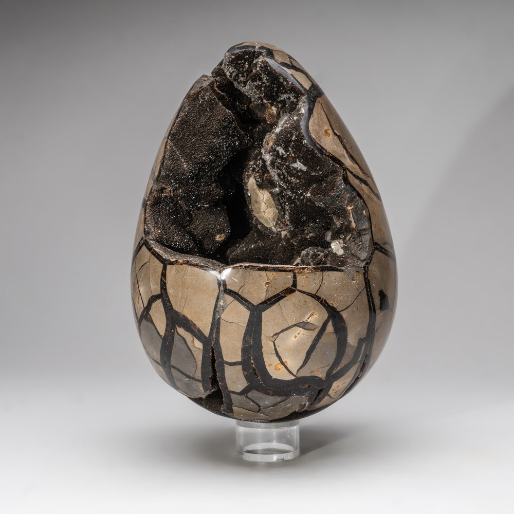 Septarian Druzy Egg from Madagascar (14.5 lbs)