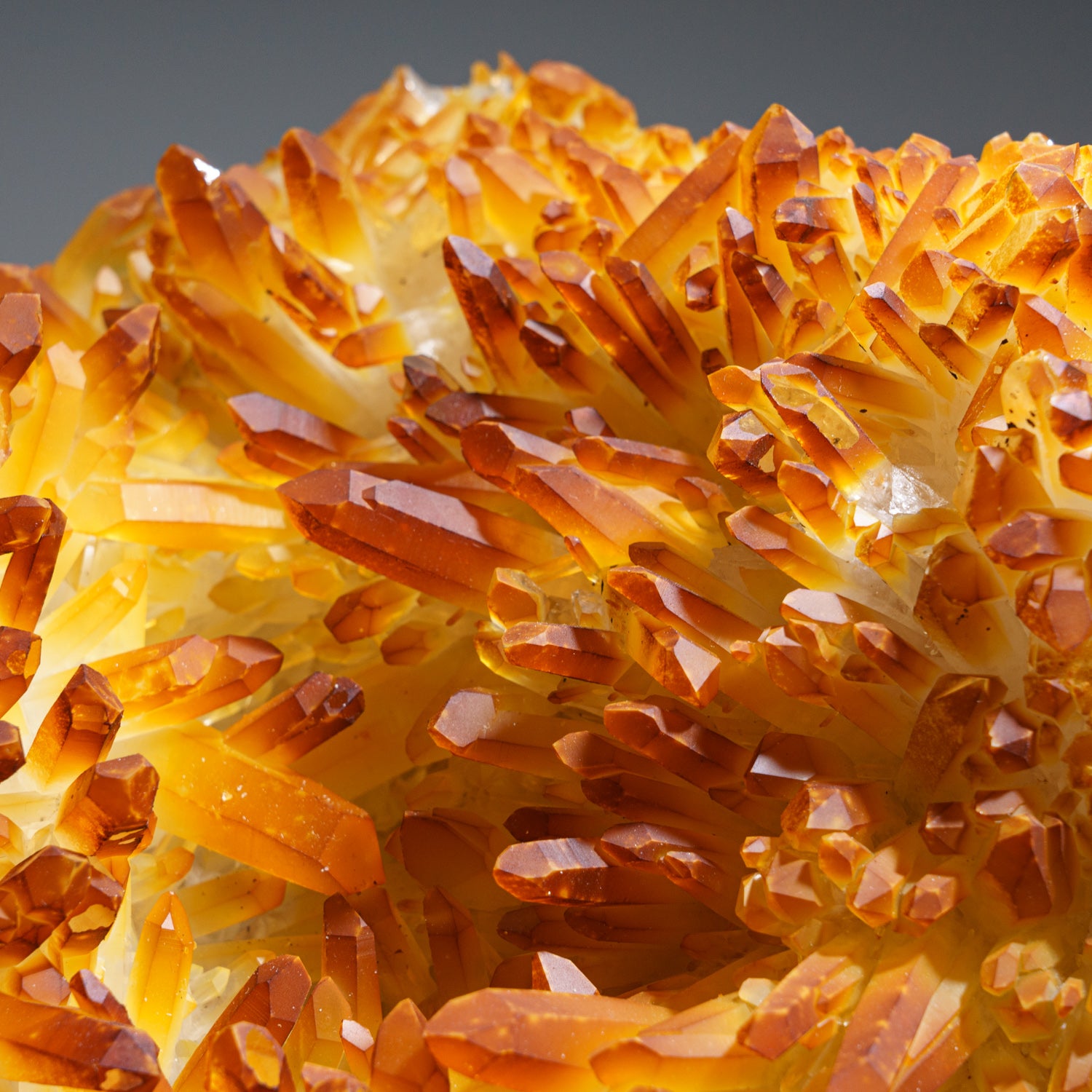 Orange Tangerine Quartz Crystal Cluster From Mongolia