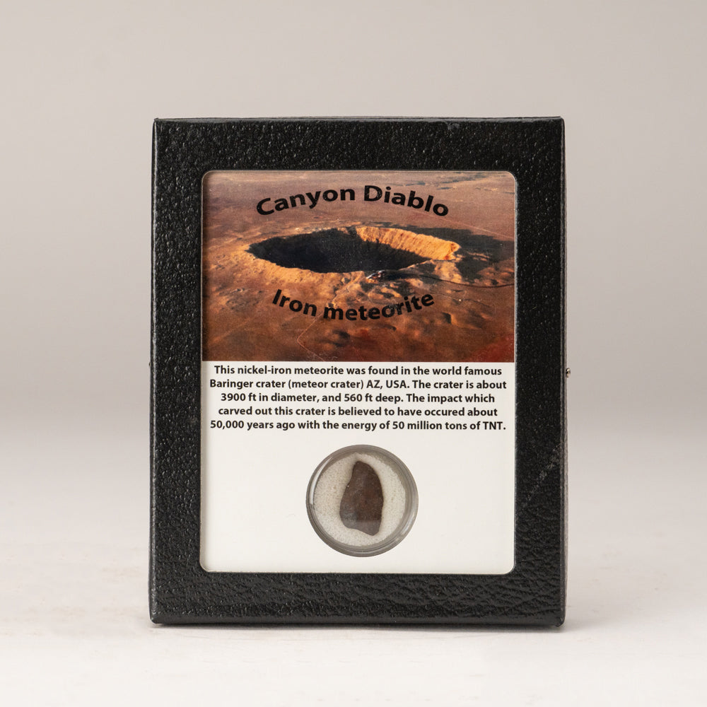 Genuine Canyon Diablo Iron Meteorite in Display Box