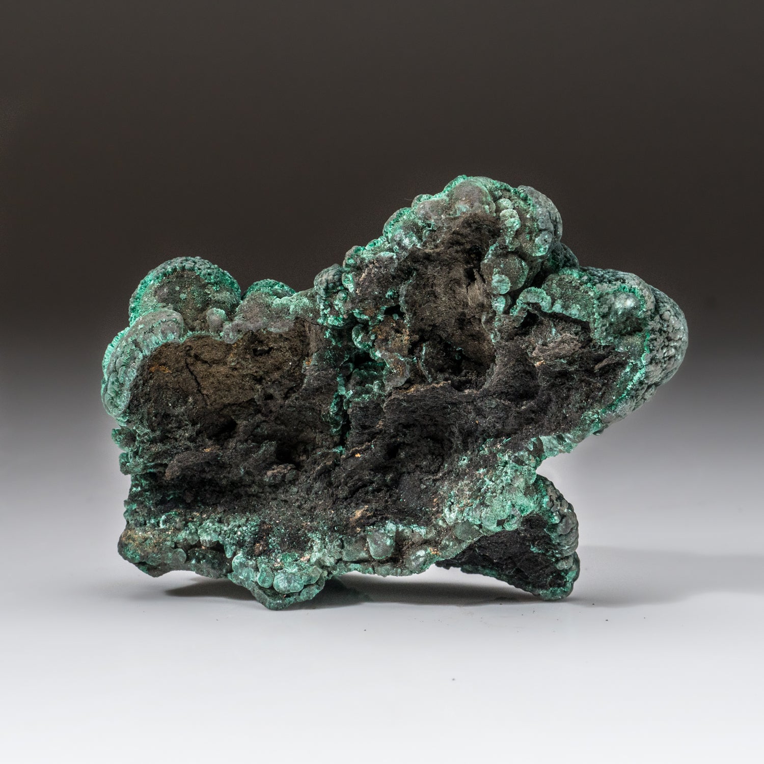 Botryoidal Malachite From Shaba Copper Belt, Katanga (Shaba) Province, Democratic Republic of the Congo (Zaire)