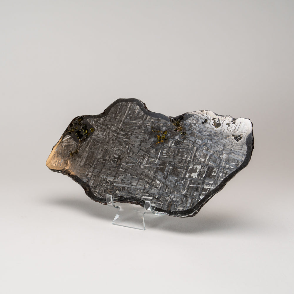 Seymchan Pallasite Meteorite Slab (705.8 grams)