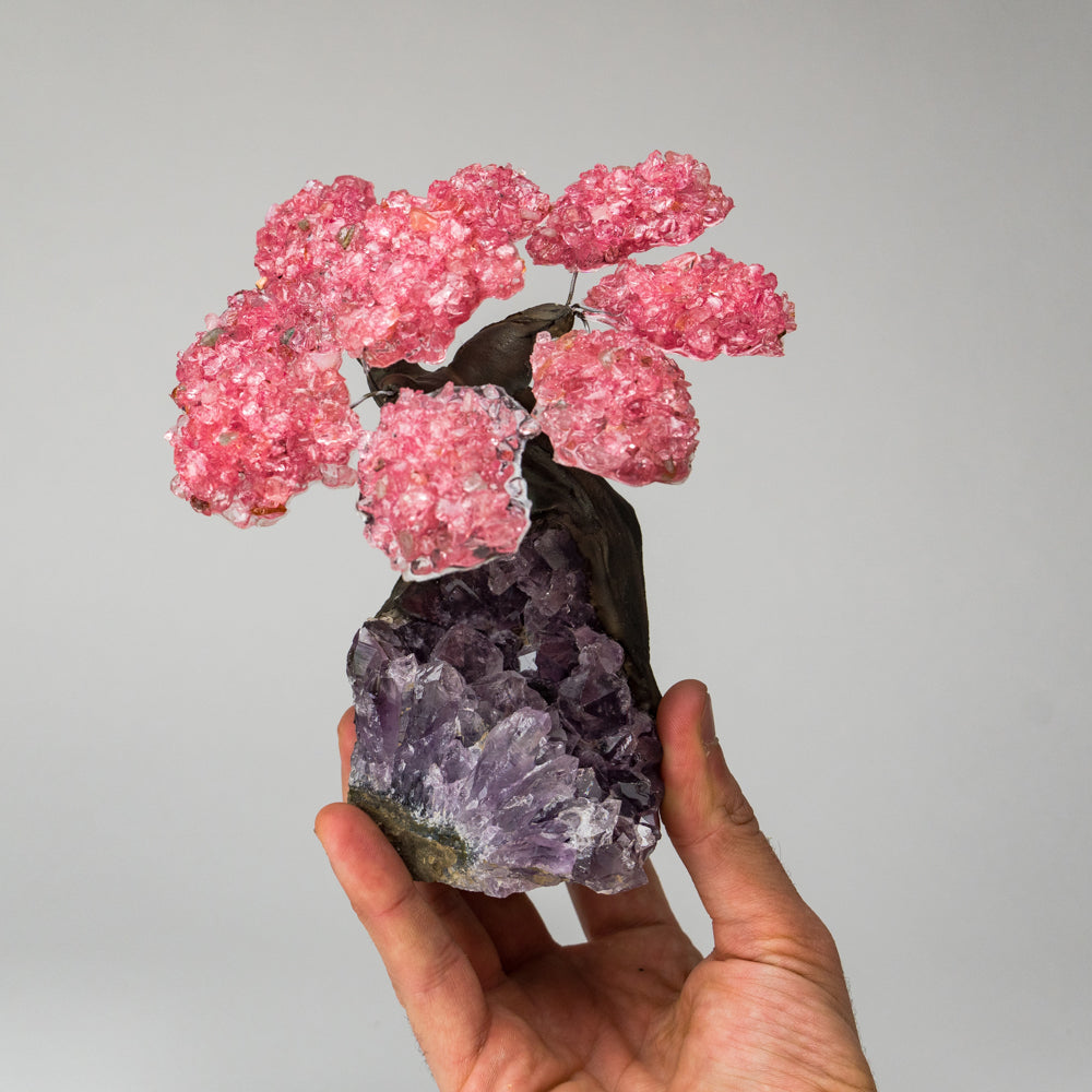 Medium - Genuine Rose Quartz Clustered Gemstone Tree on Amethyst Matrix (The Love Tree)