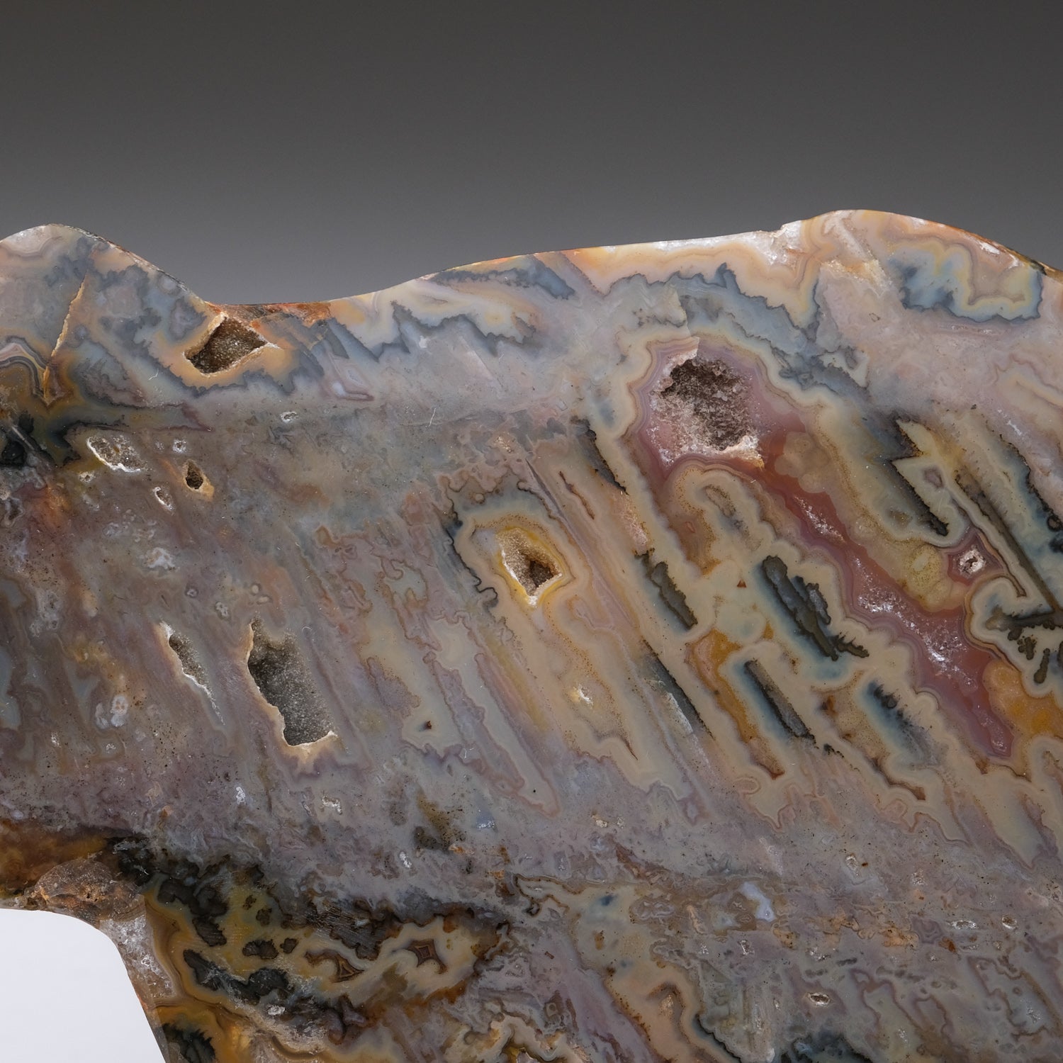 Blue Banded Agate Slice from Brazil (2.1 lbs)