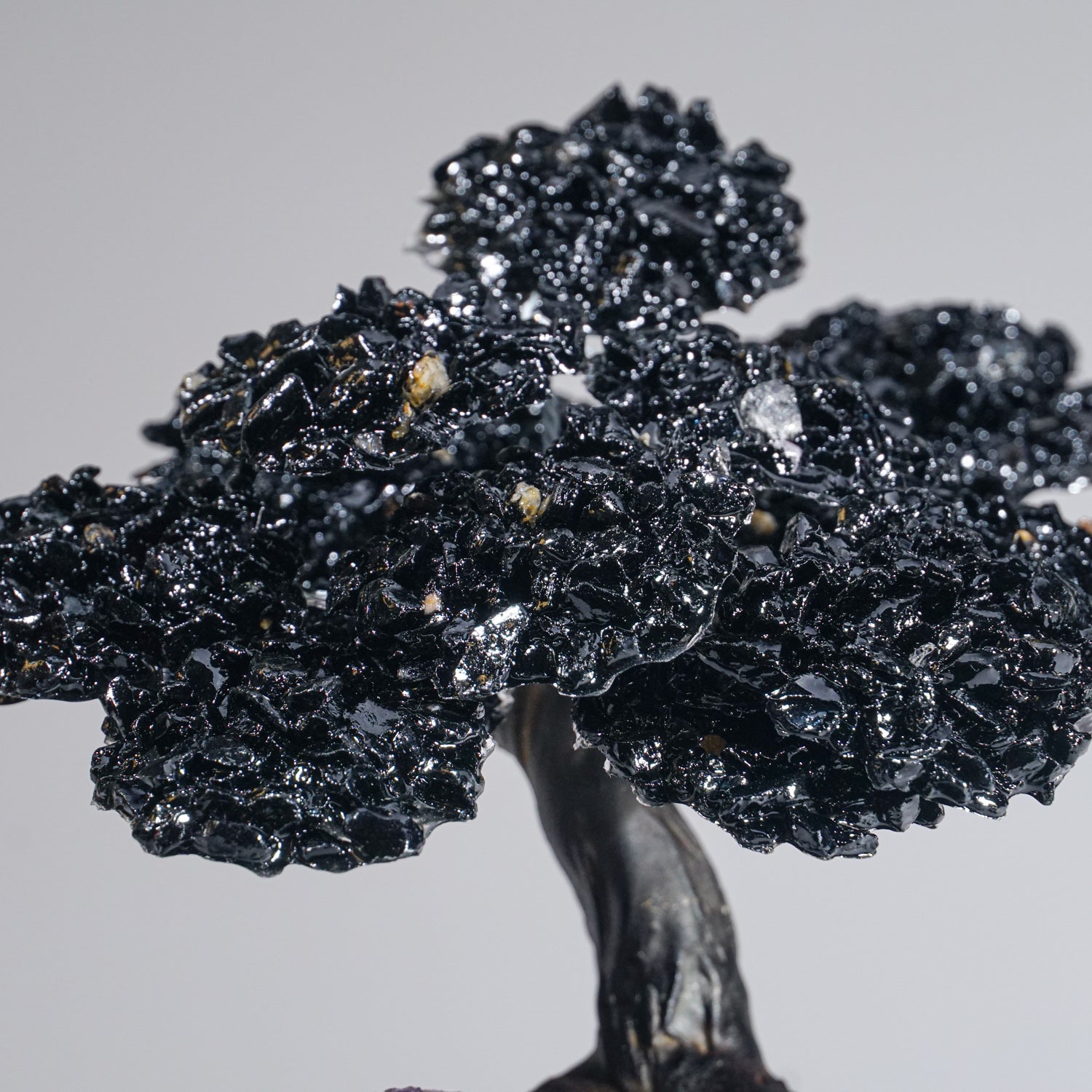 Large Black Tourmaline Clustered Gemstone Tree on Amethyst Matrix (The Cleansing Tree)