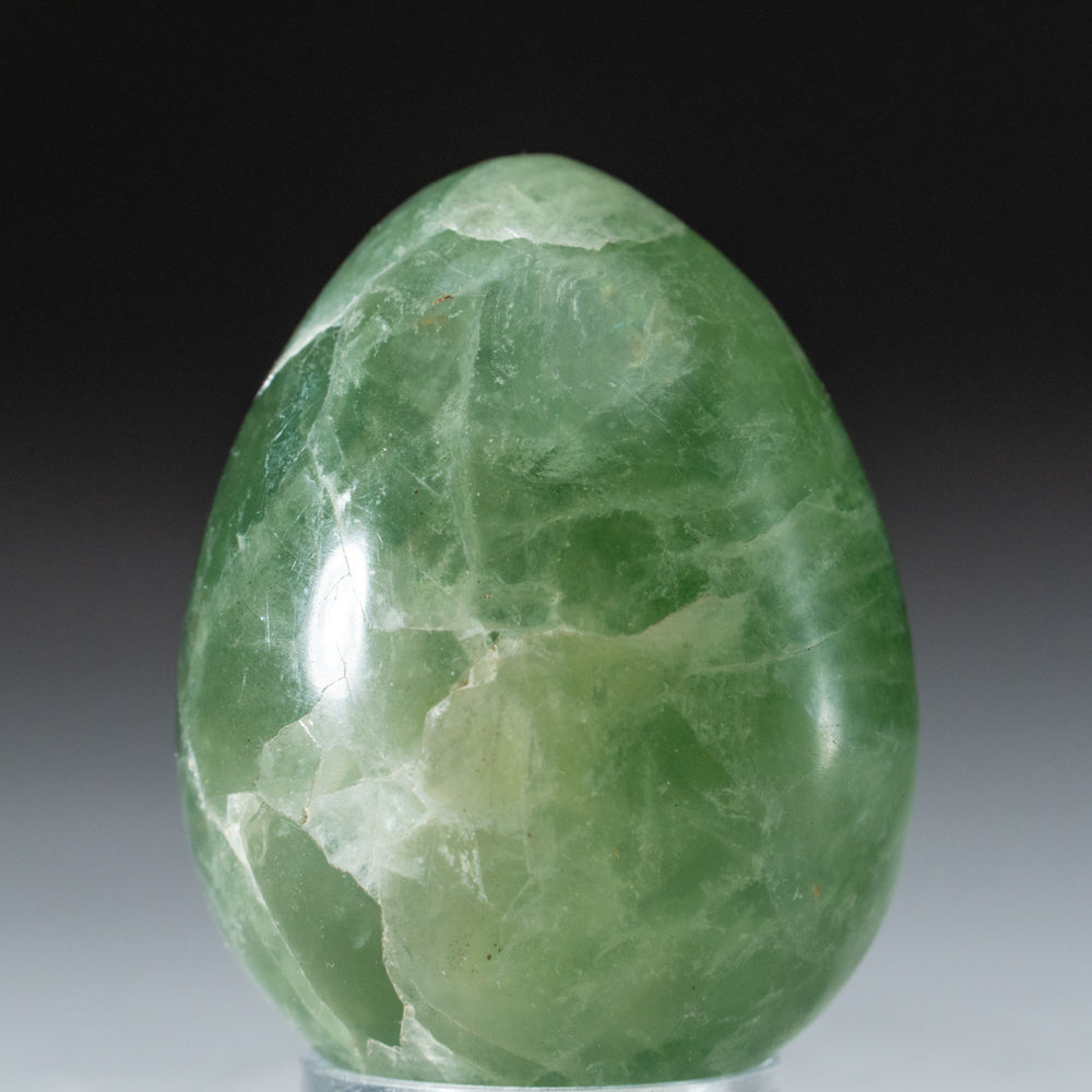 Polished Green Fluorite Egg from Argentina