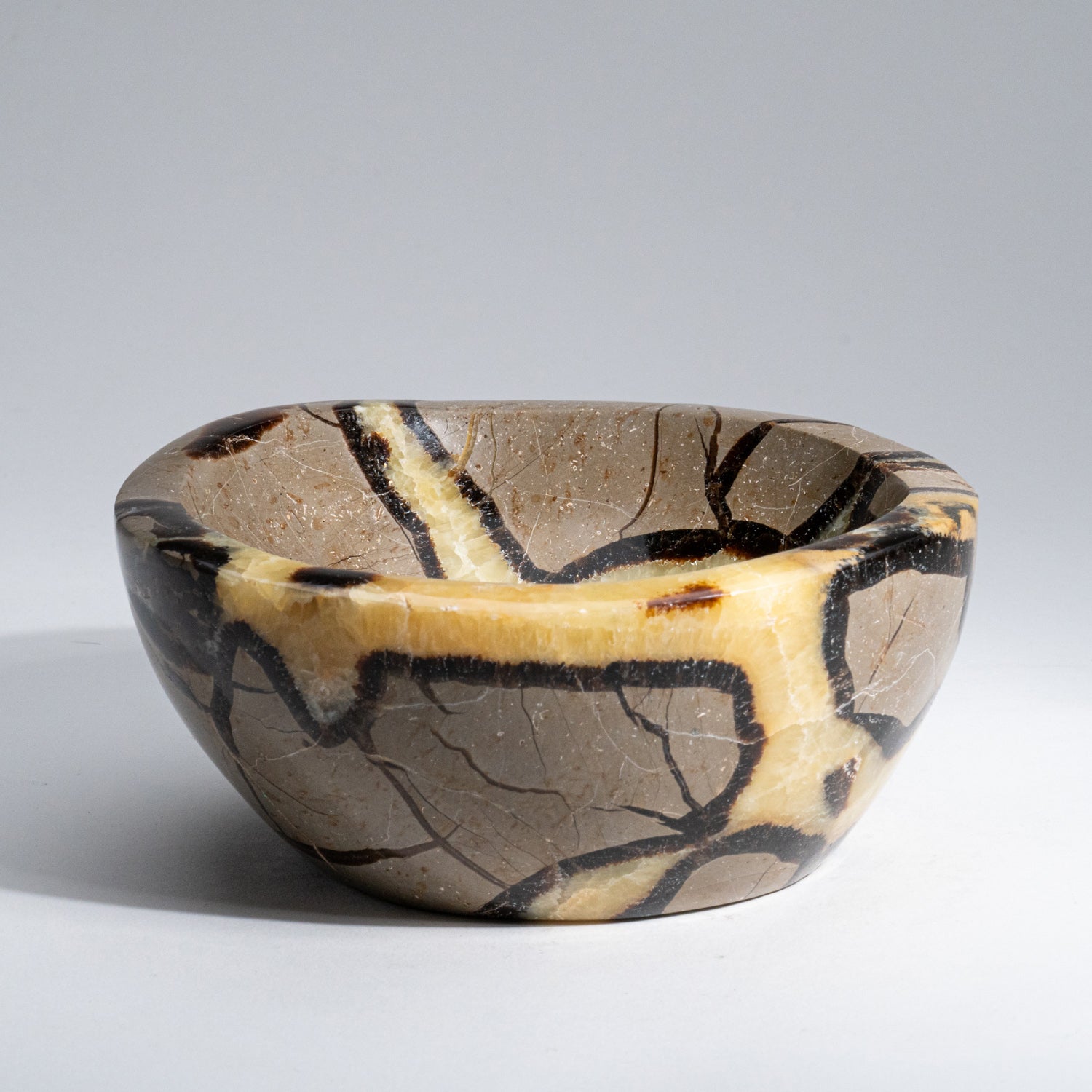 Genuine Polished Septarian Bowl from Madagascar (2 lbs)