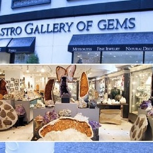 Astro Gallery: Shopping Delight in Natural History Setting
