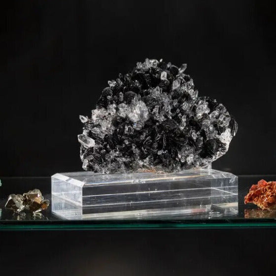 Astro Gallery - New York Times