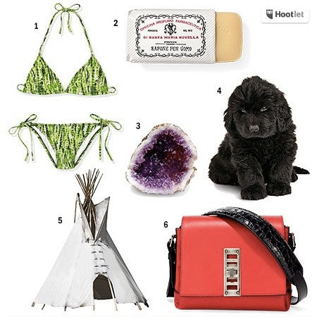 Proenza Schouler Designers' Favorite Things: Astro Gallery Crystals, Puppies, and Teepees