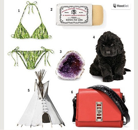 Proenza Schouler Designers' Favorite Things: Astro Gallery Crystals, Puppies, and Teepees