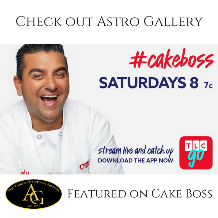 Astro Gallery featured on an episode of TLC's Cake Boss.