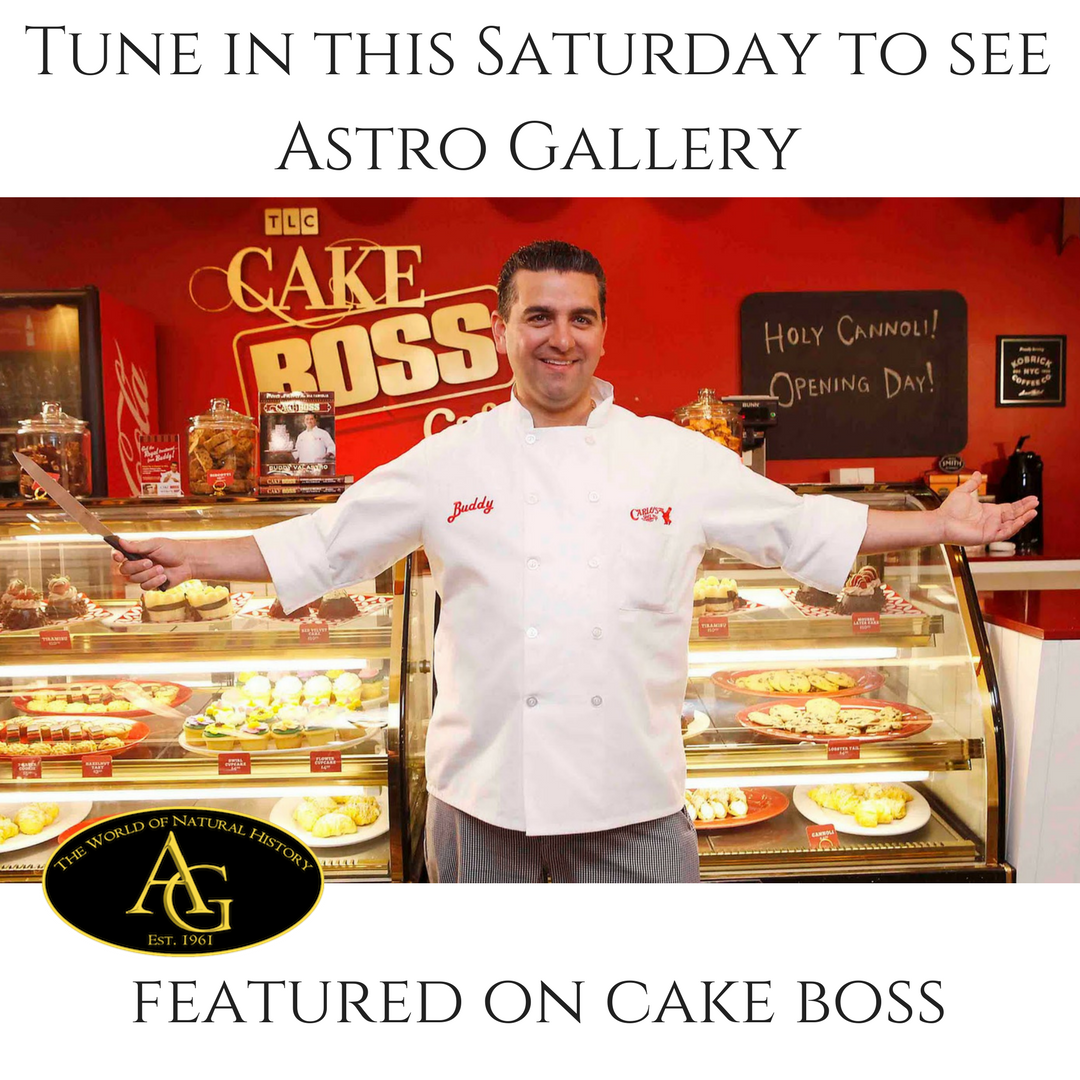 Check out Astro Gallery on TLC's Cake Boss