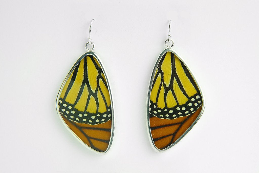 Butterfly collections - By Price: Lowest to Highest