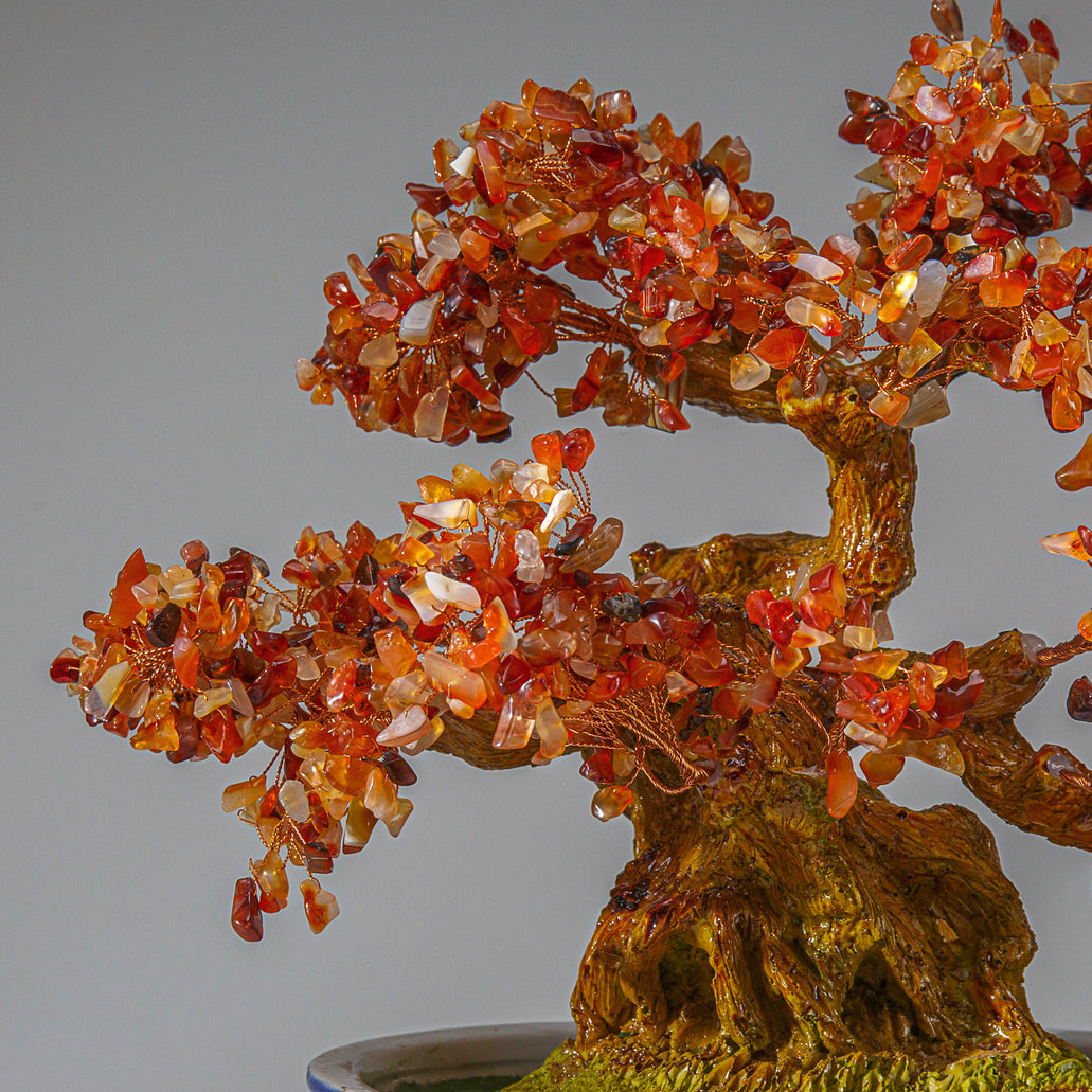 Genuine Carnelian Gemstone Bonsai Tree in Oval Ceramic Pot (11” Tall) —  Astro Gallery of Gems