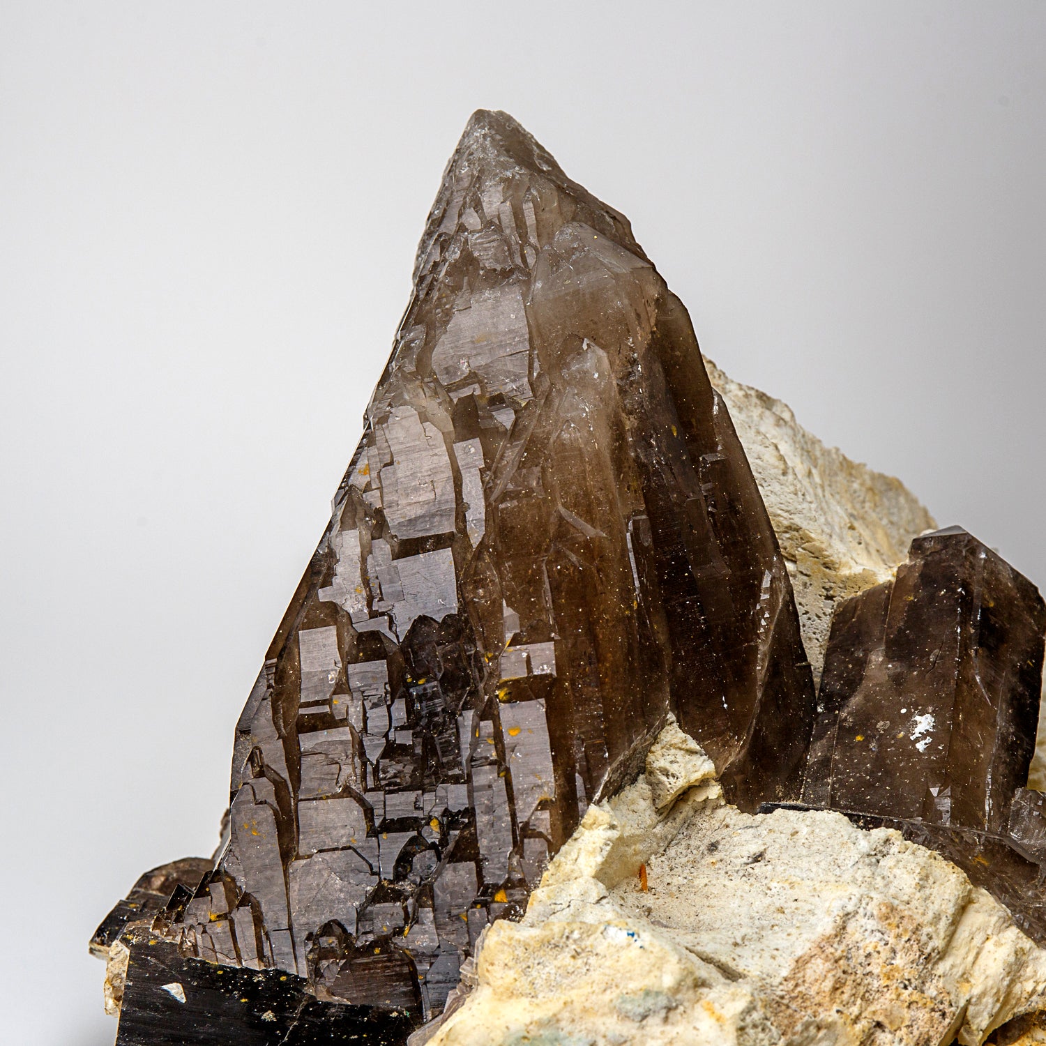 Genuine Large Cathedral Smoky Quartz Crystal Point From Brazil (71.5 lbs)