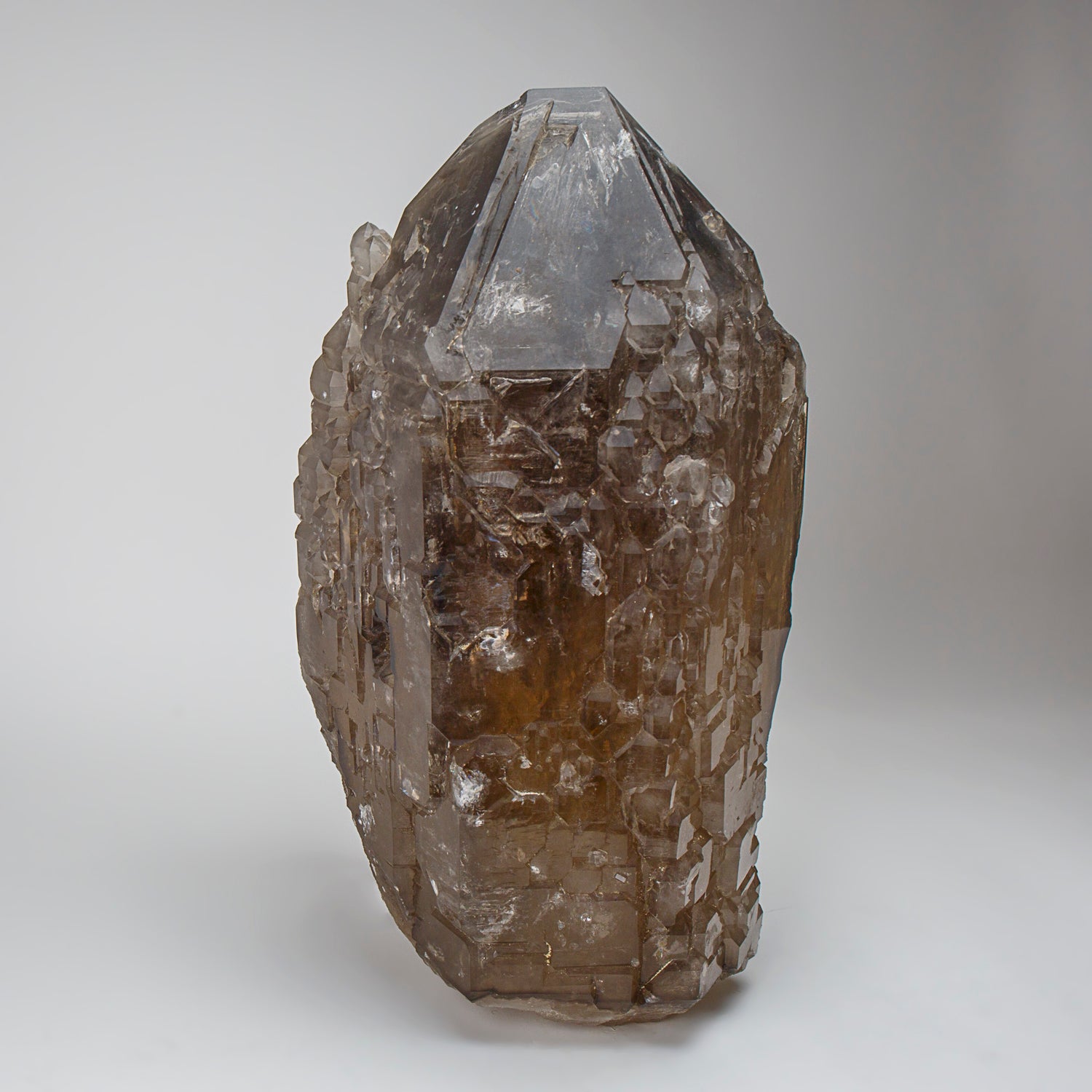 Huge Genuine Cathedral Smoky Quartz Crystal Point from Brazil (81 lbs)
