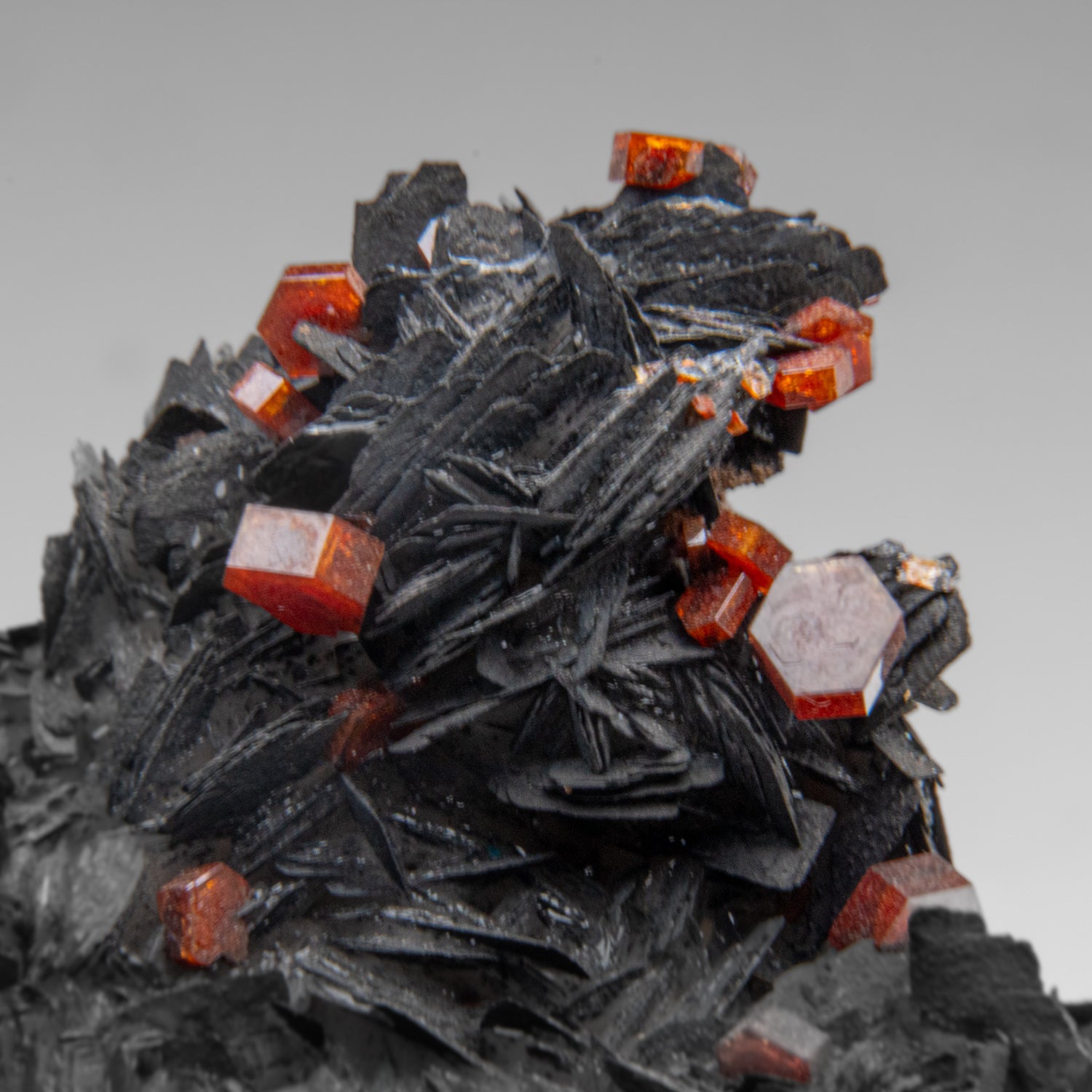 Vanadinite Crystals on Matrix from Mibladen, Atlas Mountains, Khénifra Province, Morocco