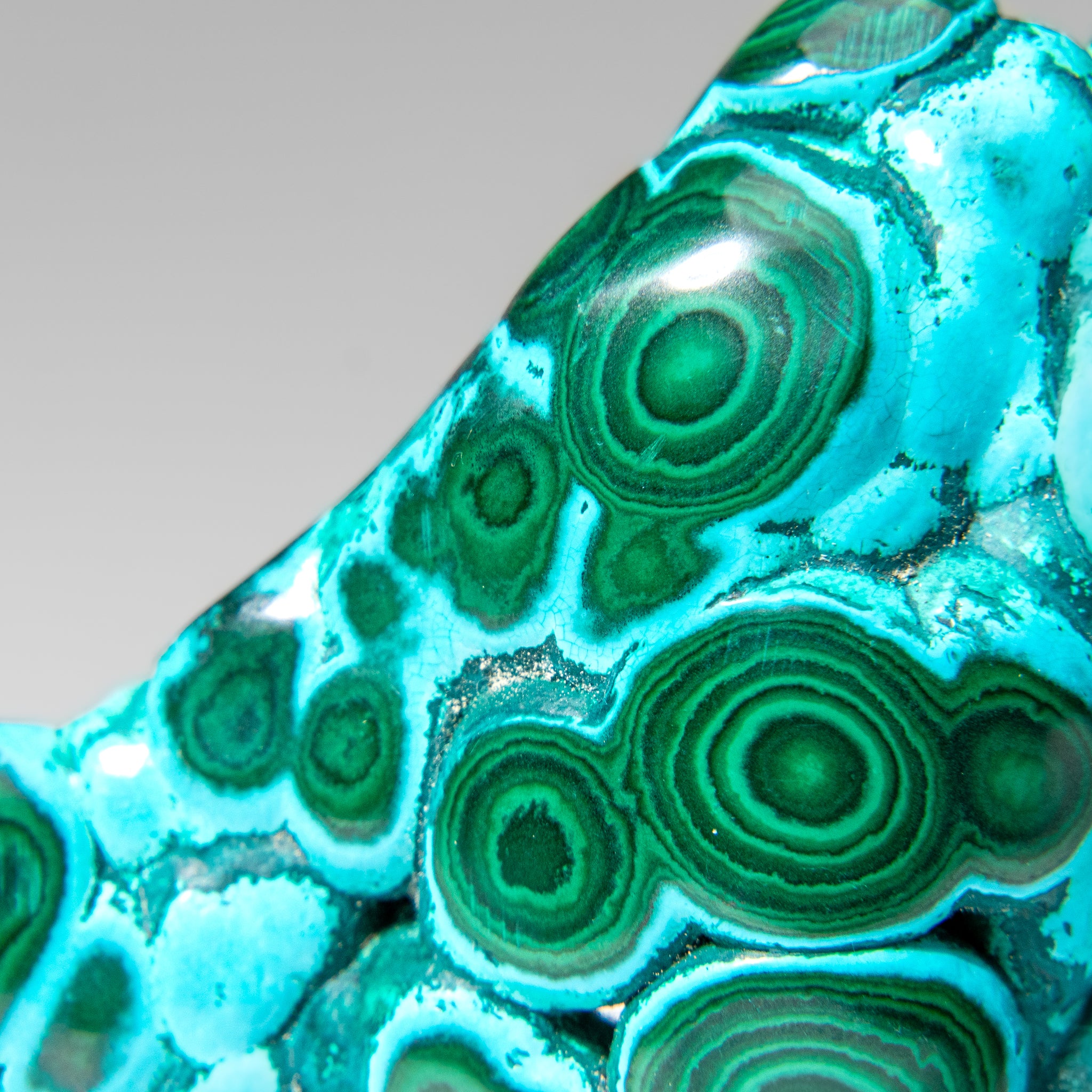 Malachite with Chrysocolla Polished Stone from Democratic Republic of the Congo