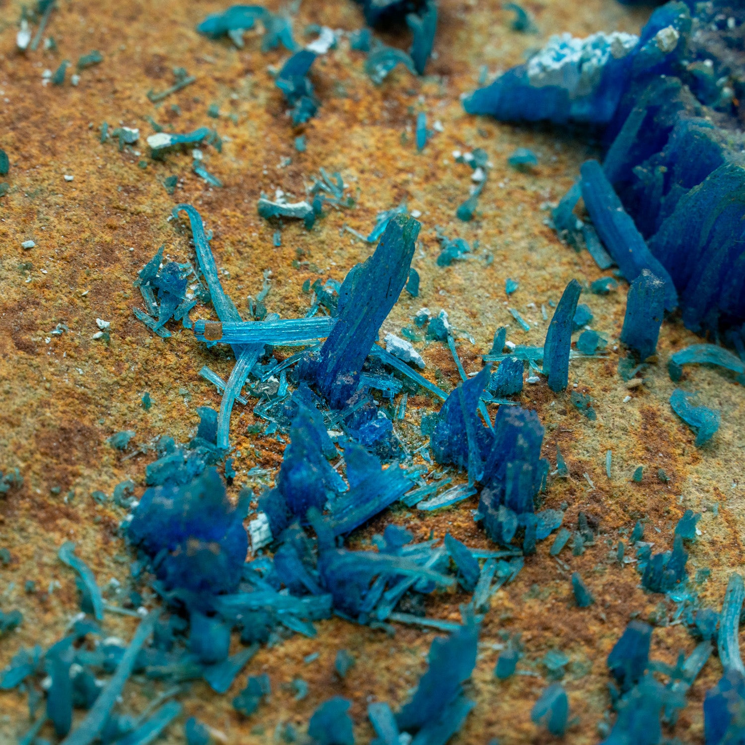 Chalcanthite Crystal on Matrix from Mining District, Santa Cruz County, Arizona, USA