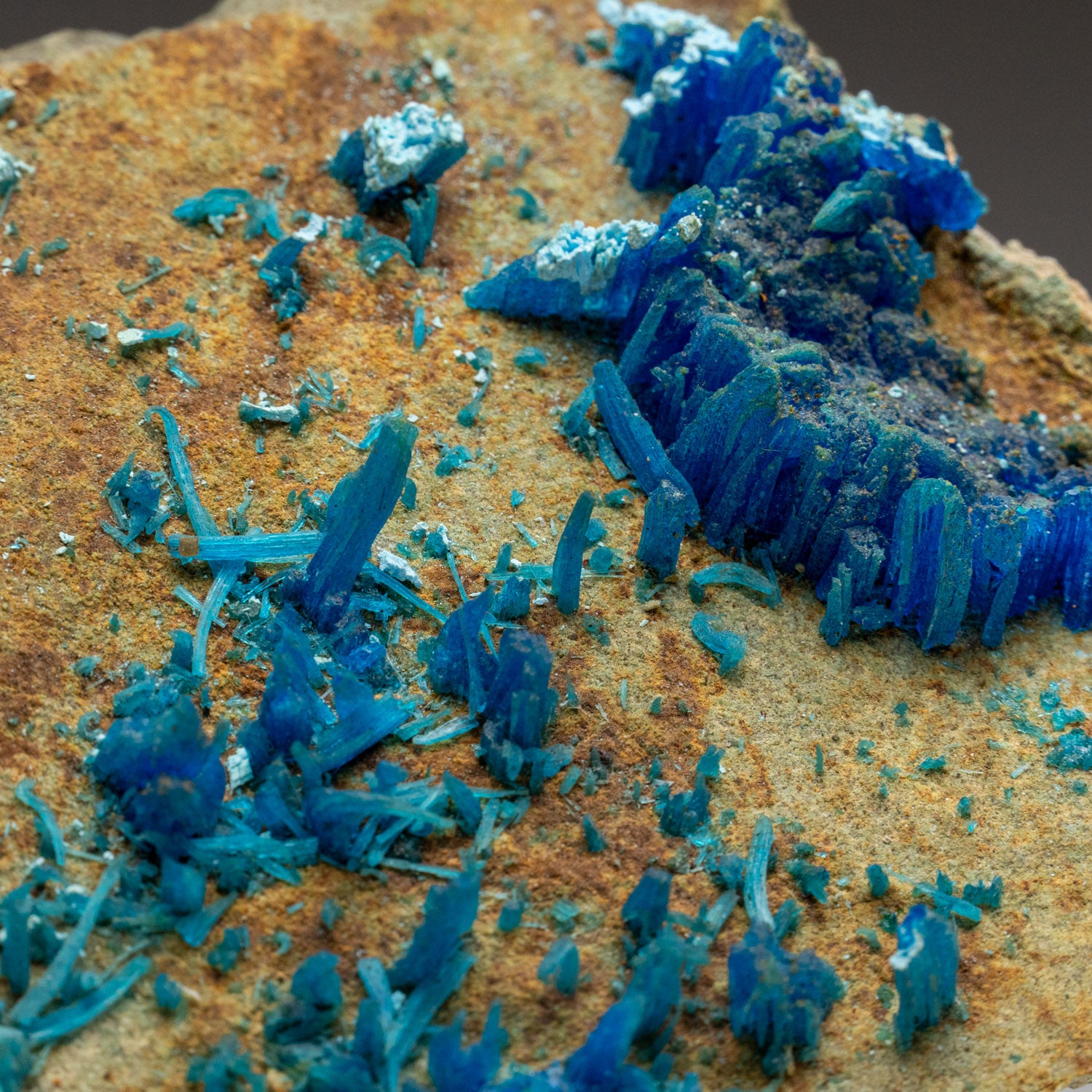 Chalcanthite Crystal on Matrix from Mining District, Santa Cruz County, Arizona, USA