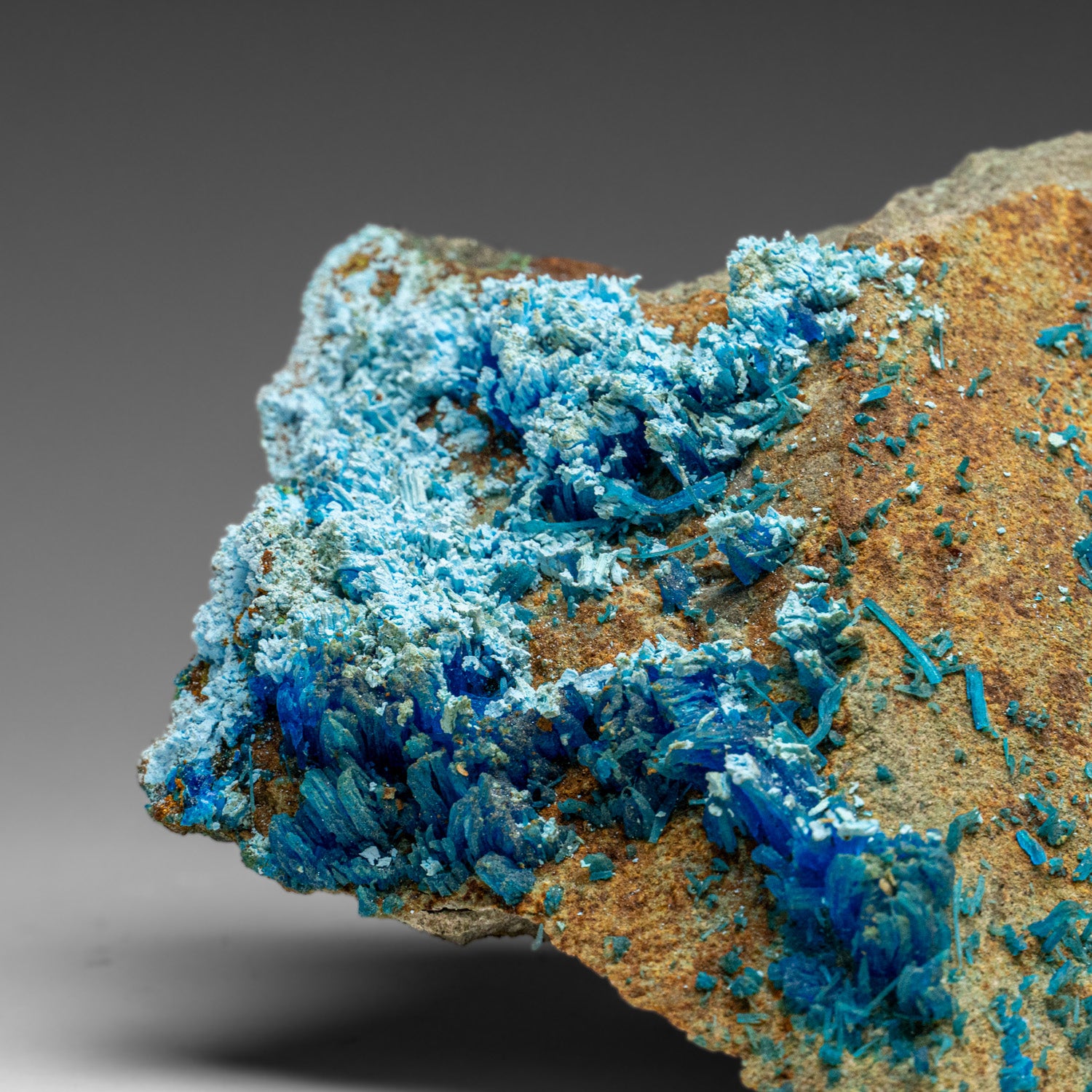 Chalcanthite Crystal on Matrix from Mining District, Santa Cruz County, Arizona, USA