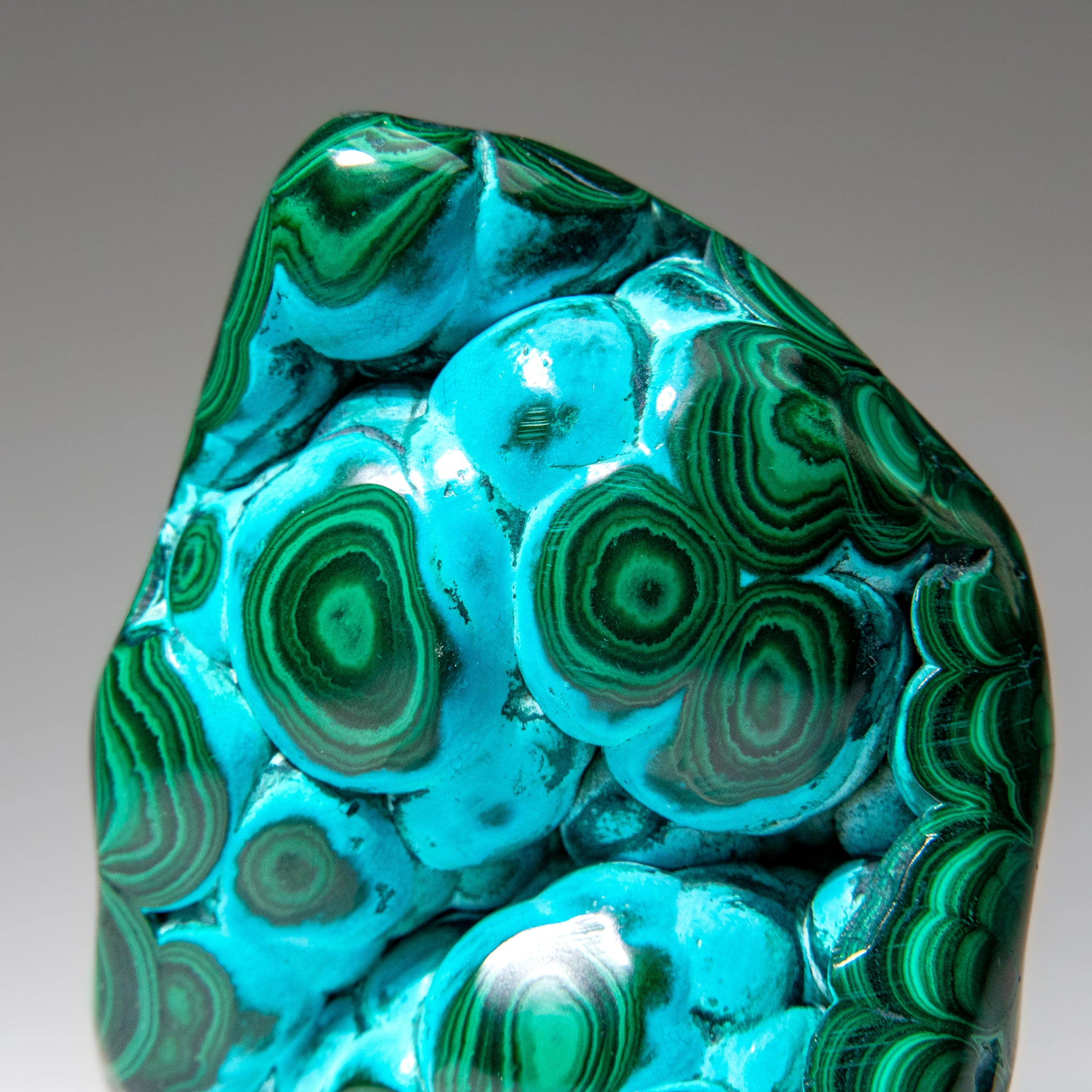 Malachite with Chrysocolla Polished Stone from Democratic Republic of the Congo (1.4 lbs)
