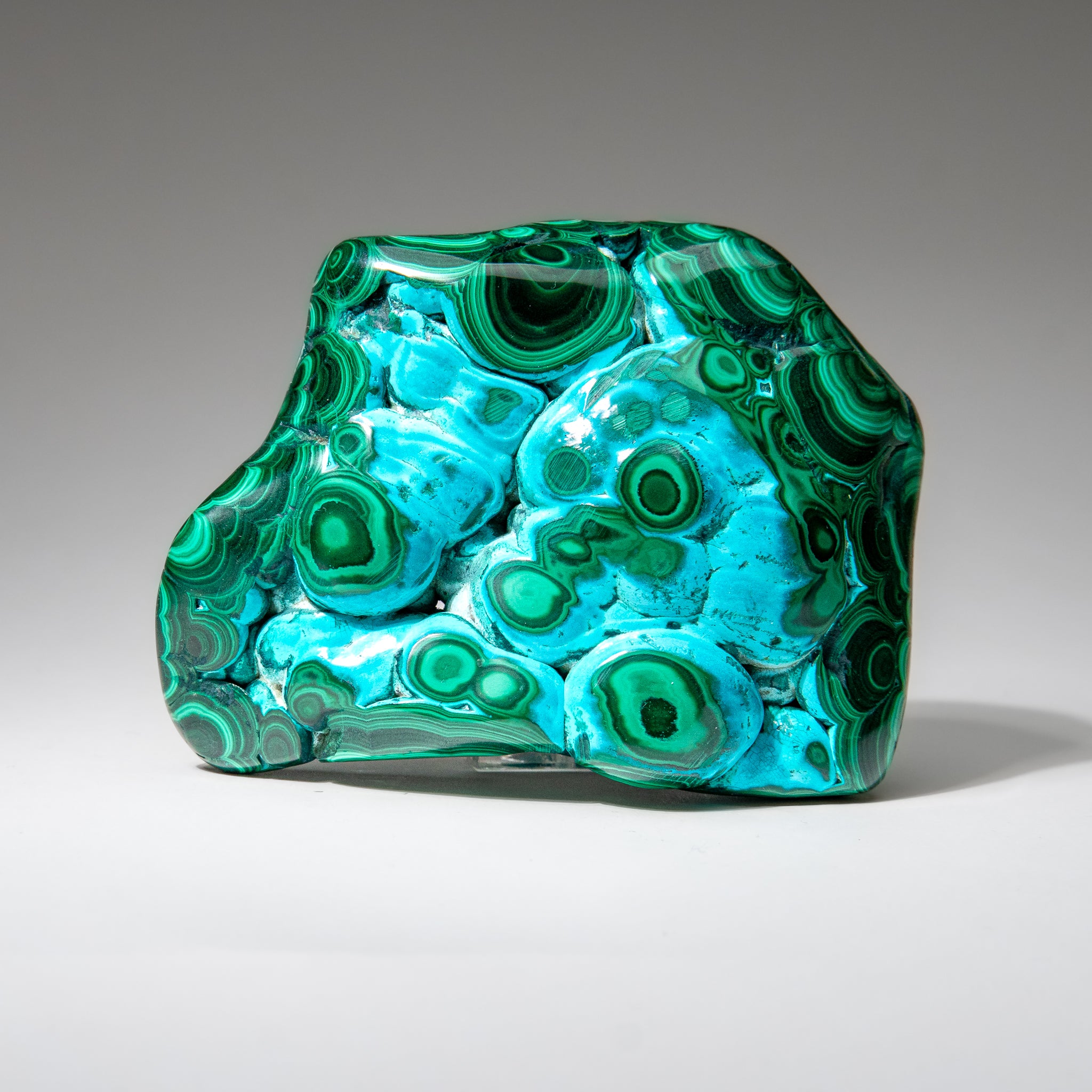 Malachite with Chrysocolla Polished Stone from Democratic Republic of the Congo (1.5 lbs)