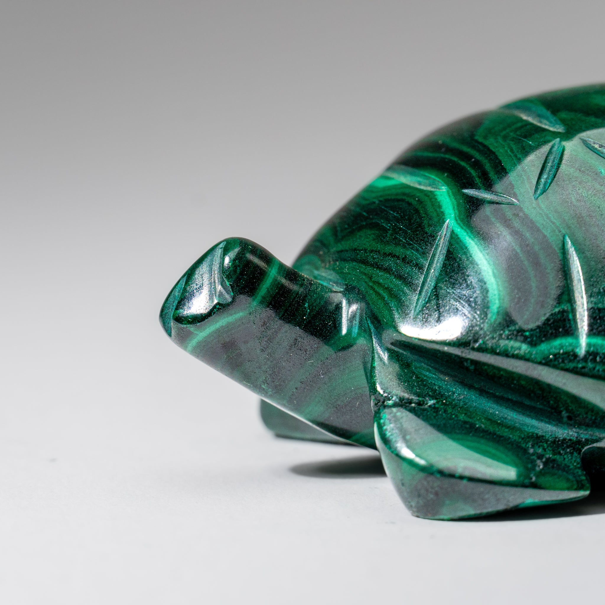 Genuine Polished Malachite Turtle Carving (335 grams)
