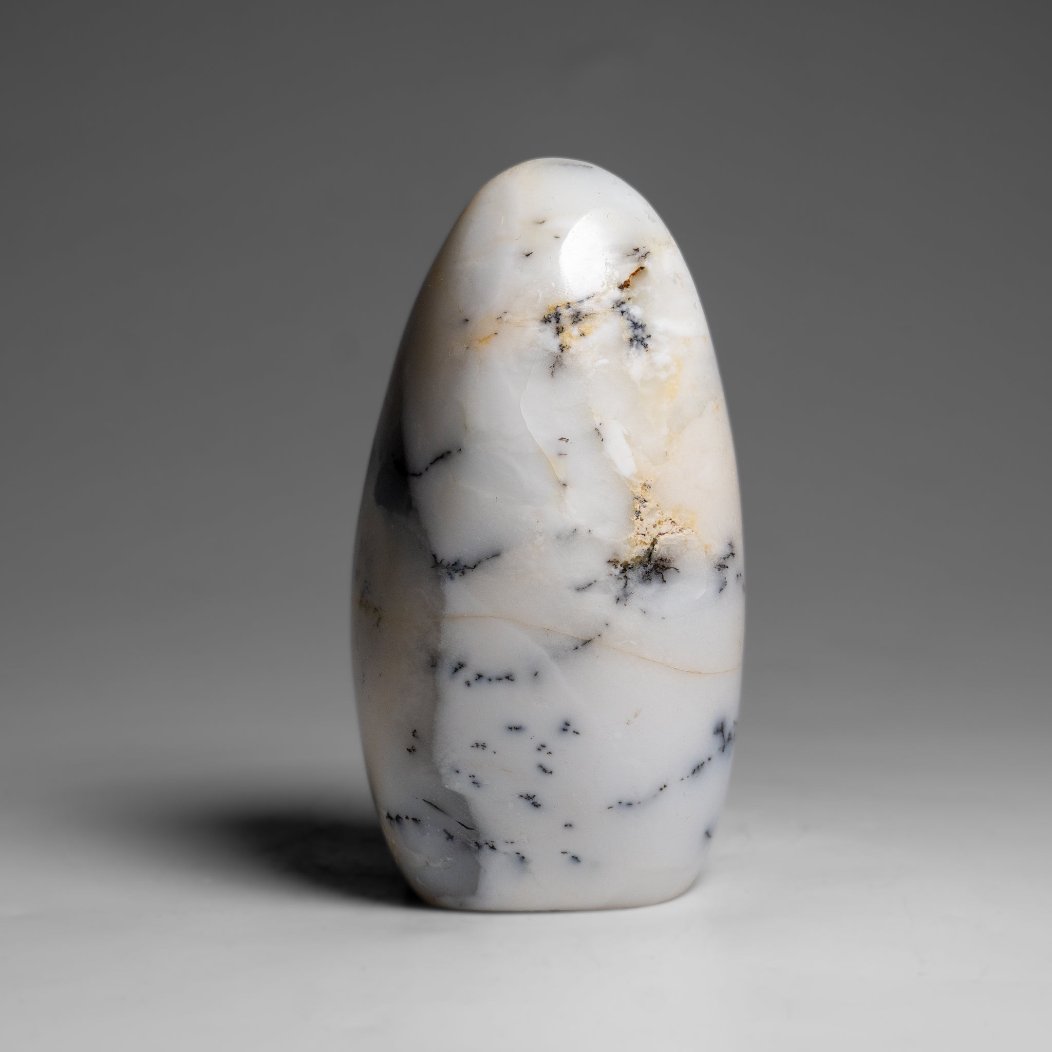 Polished Dendritic Agate Freeform from Madagascar (.7 lbs)