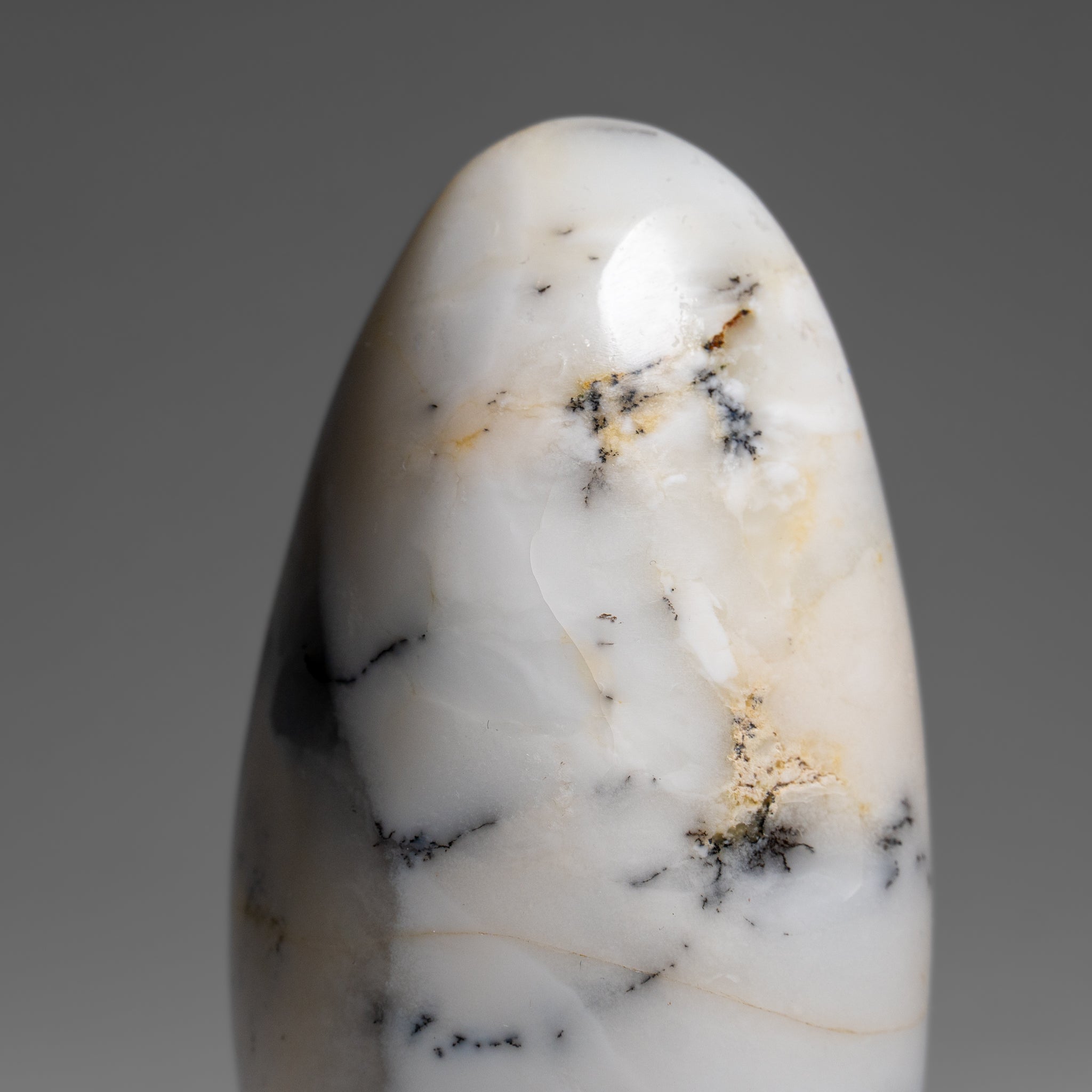 Polished Dendritic Agate Freeform from Madagascar (.7 lbs)