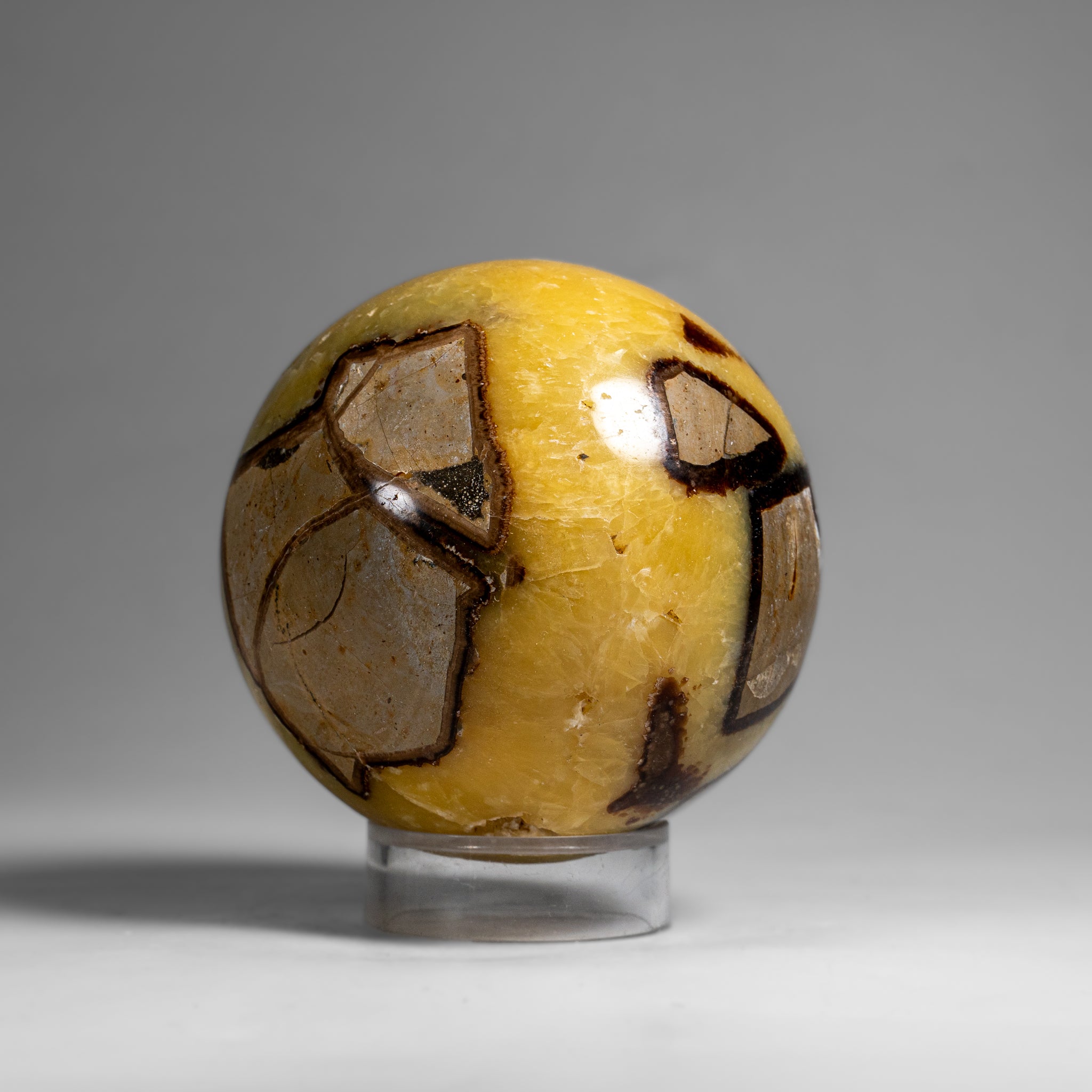 Genuine Polished Septarian Sphere from Madagascar (2 lbs)