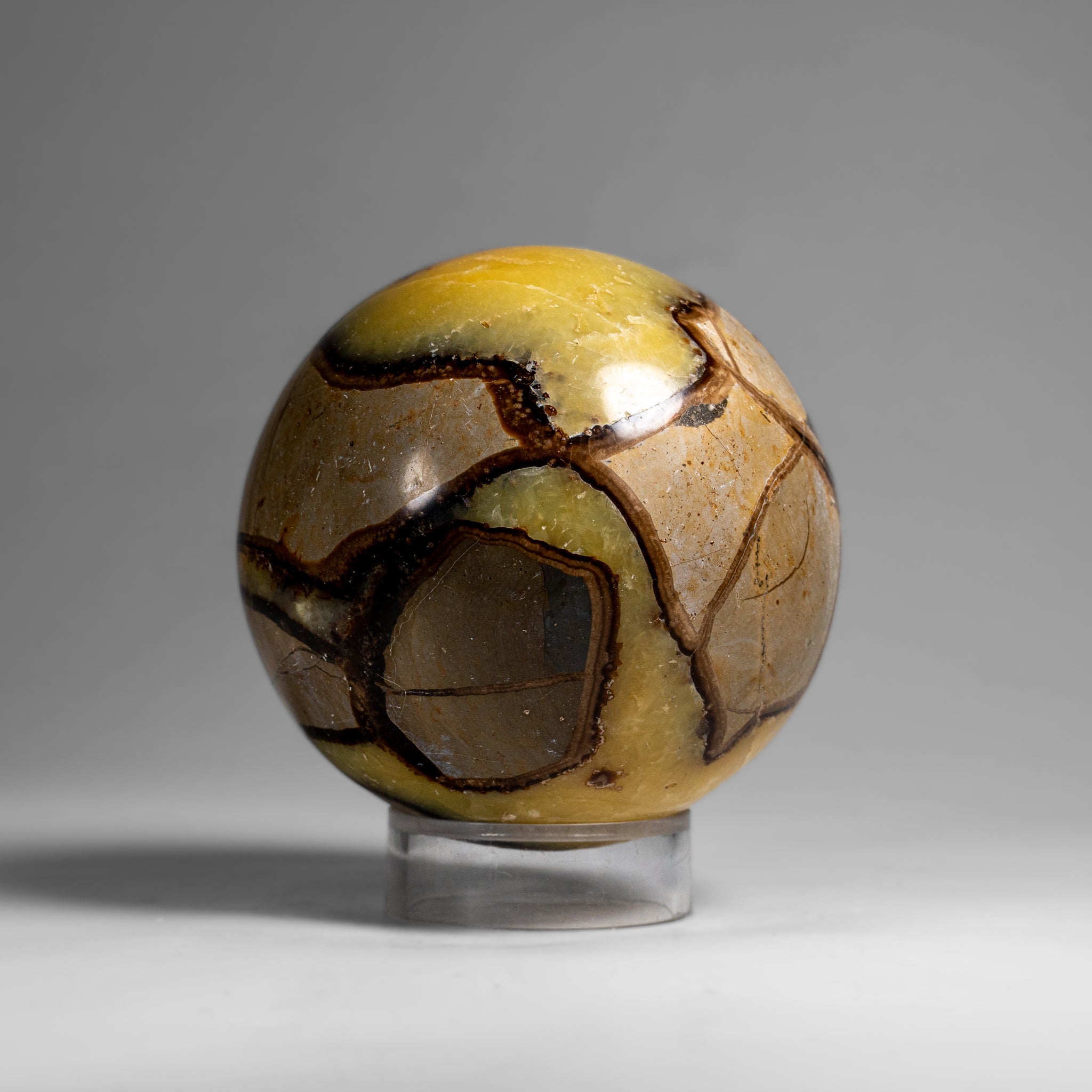 Genuine Polished Septarian Sphere from Madagascar (2 lbs)