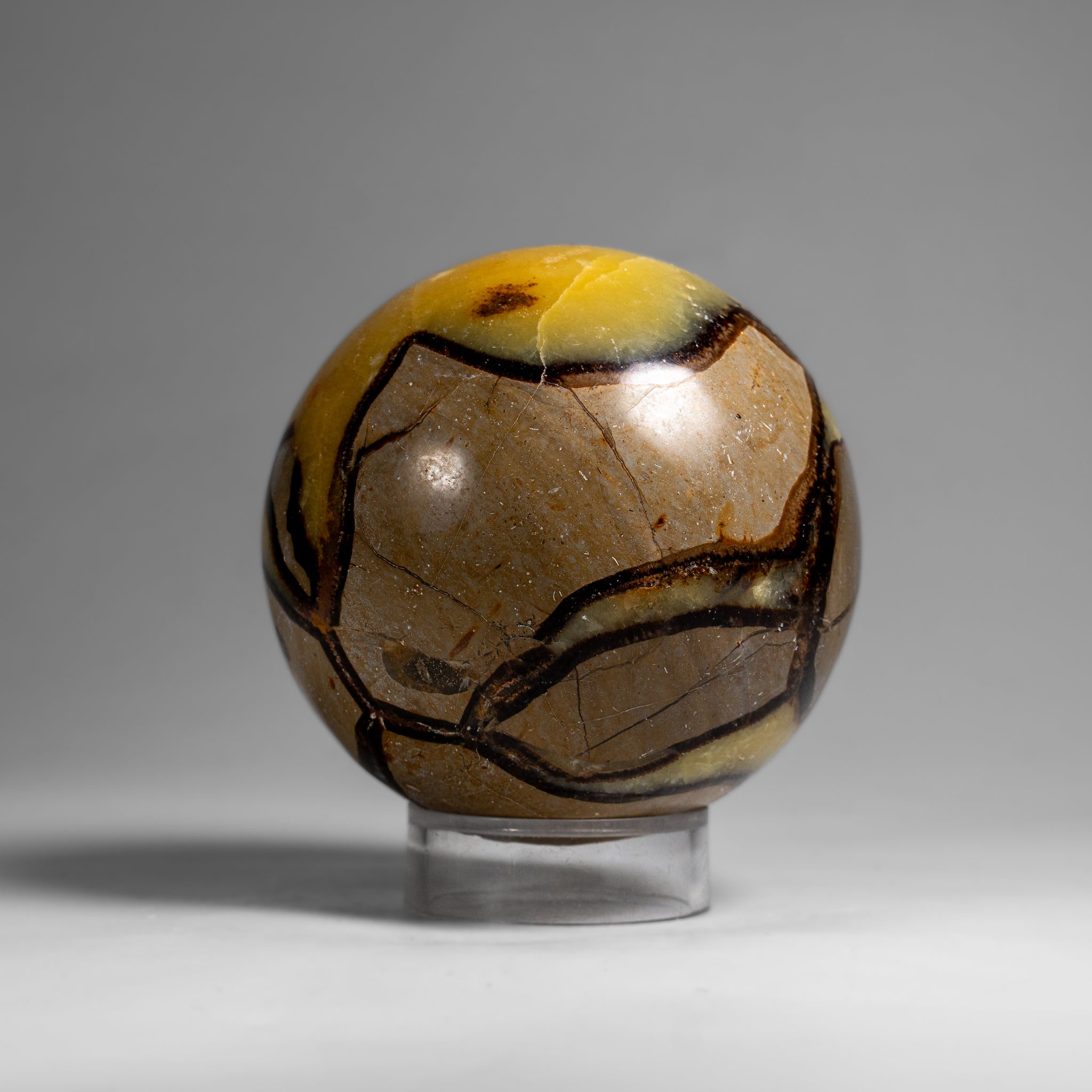 Genuine Polished Septarian Sphere from Madagascar (2 lbs)