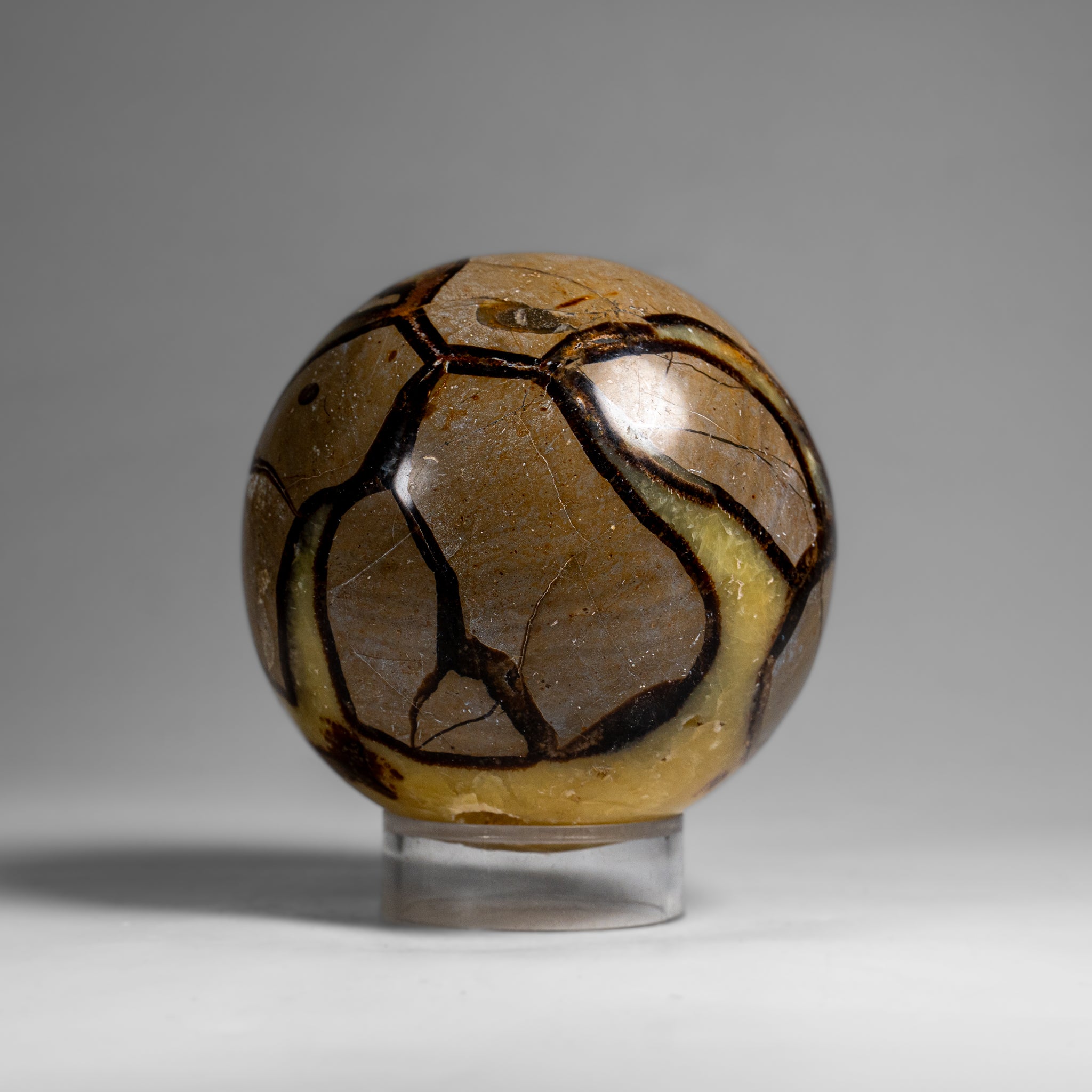 Genuine Polished Septarian Sphere from Madagascar (2 lbs)